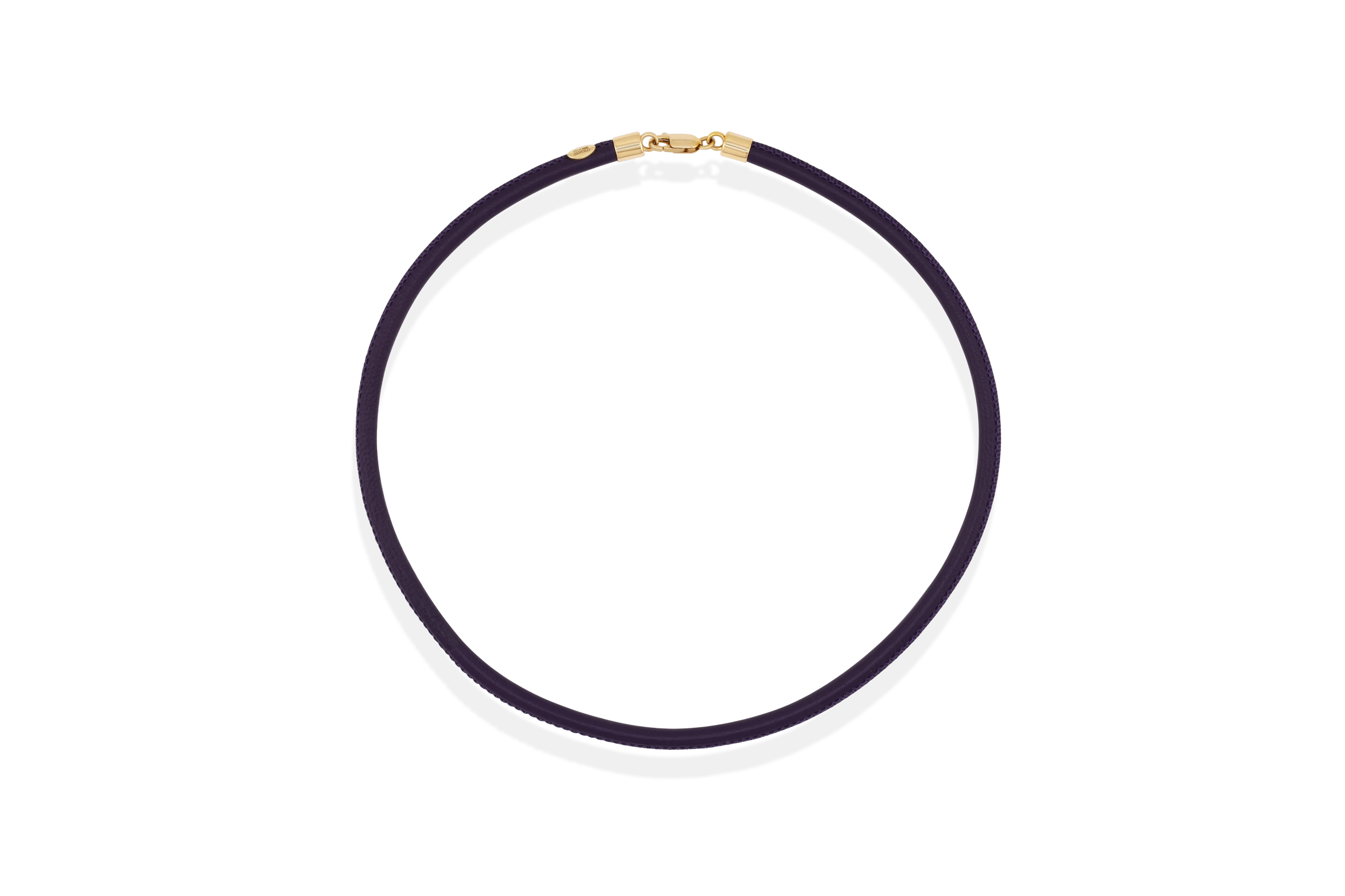 The Leather House Choker