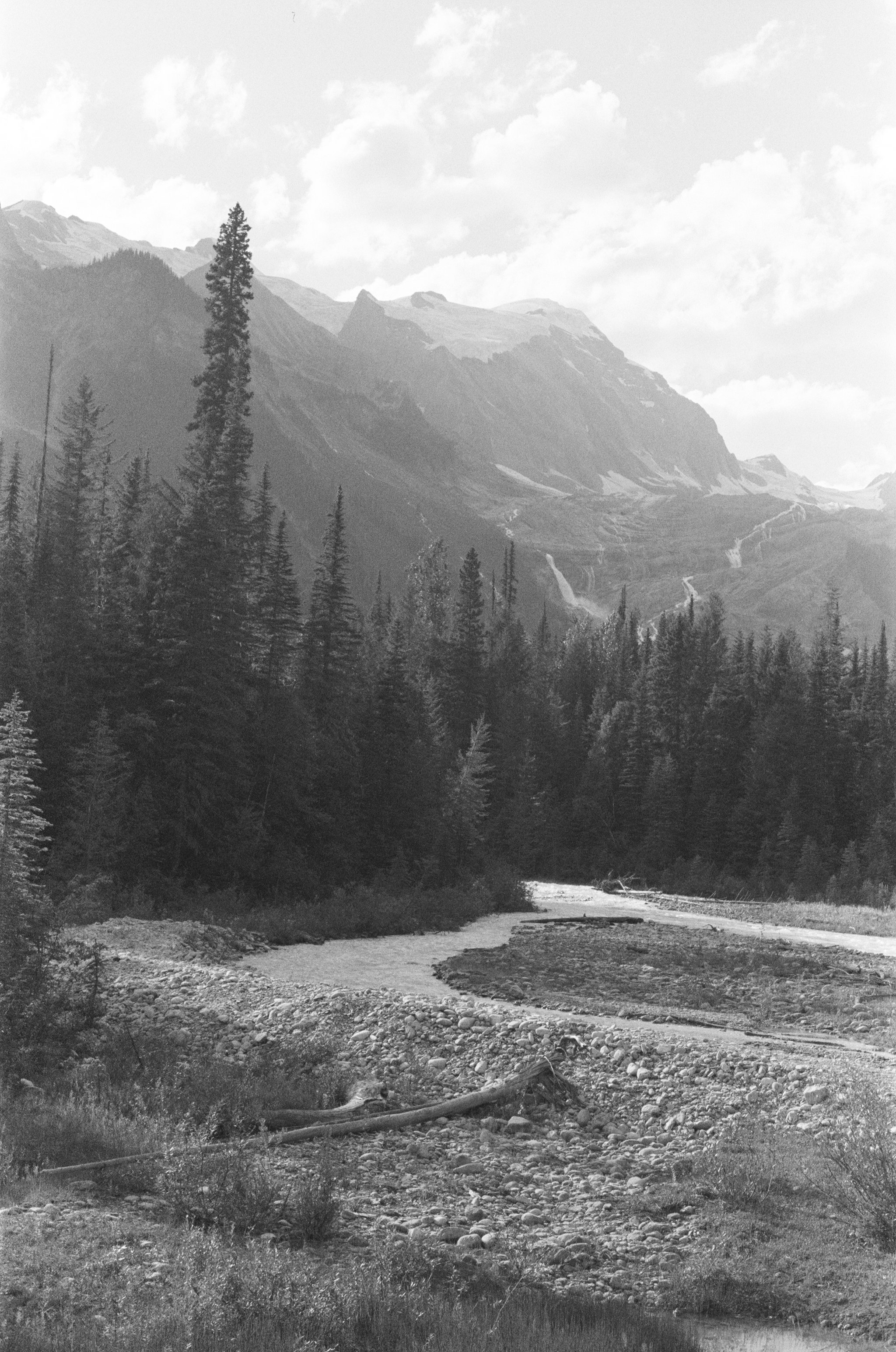 005035470032 copy 2.jpg