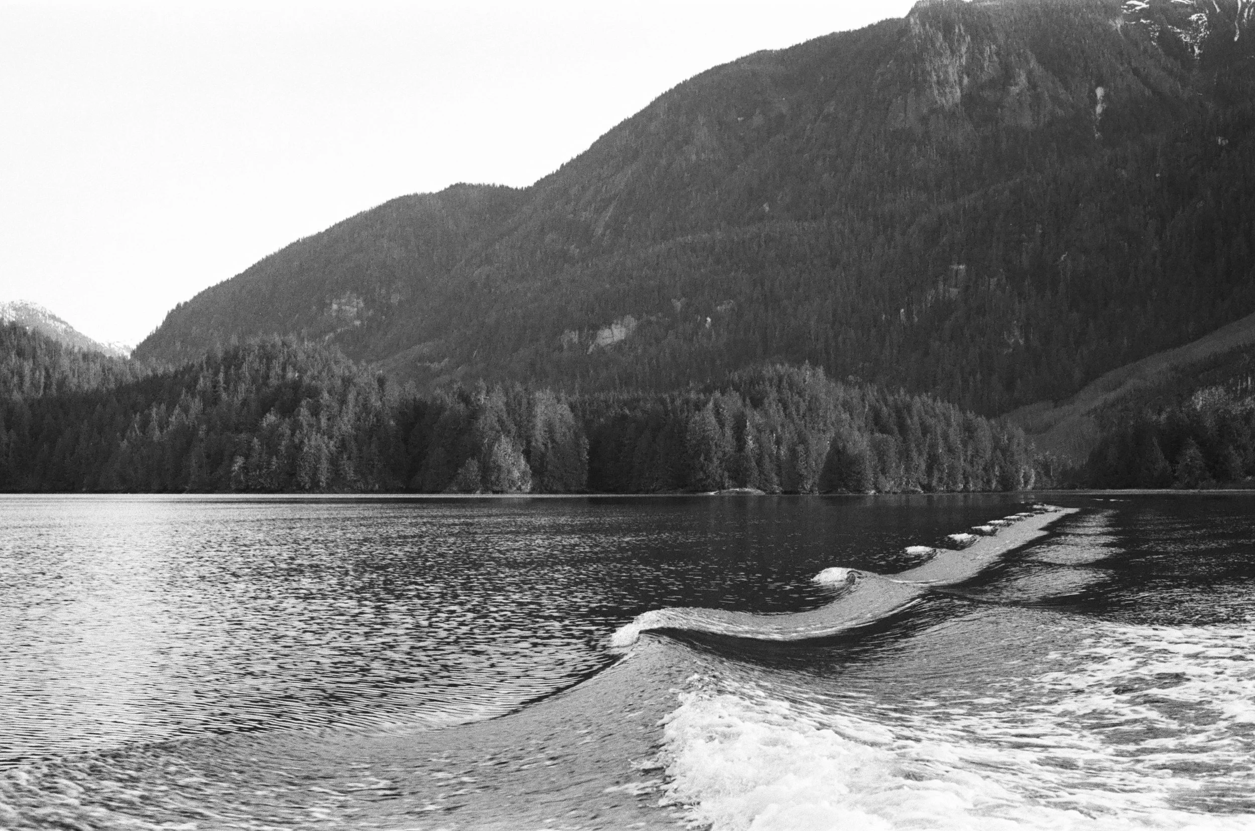 000008550031 copy.jpg