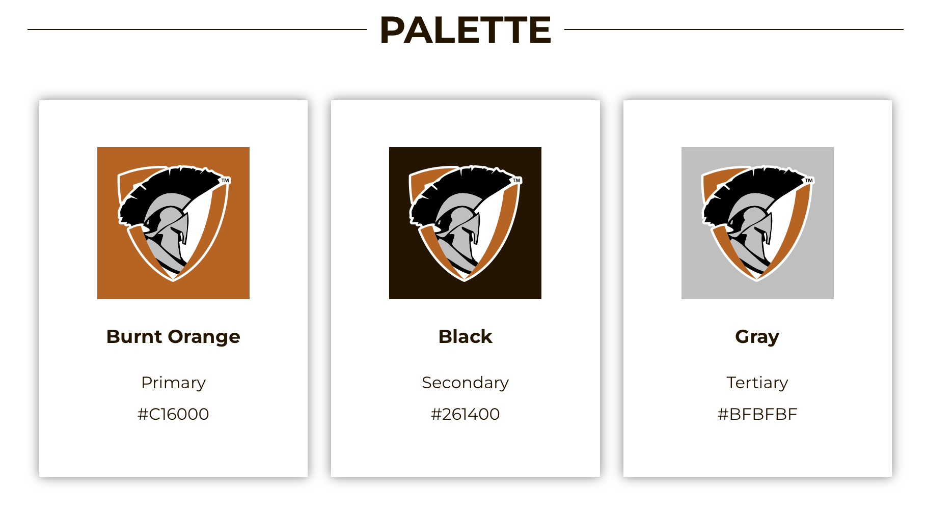 CRCA Brand Colors- Burnt Orange - Black- Gray