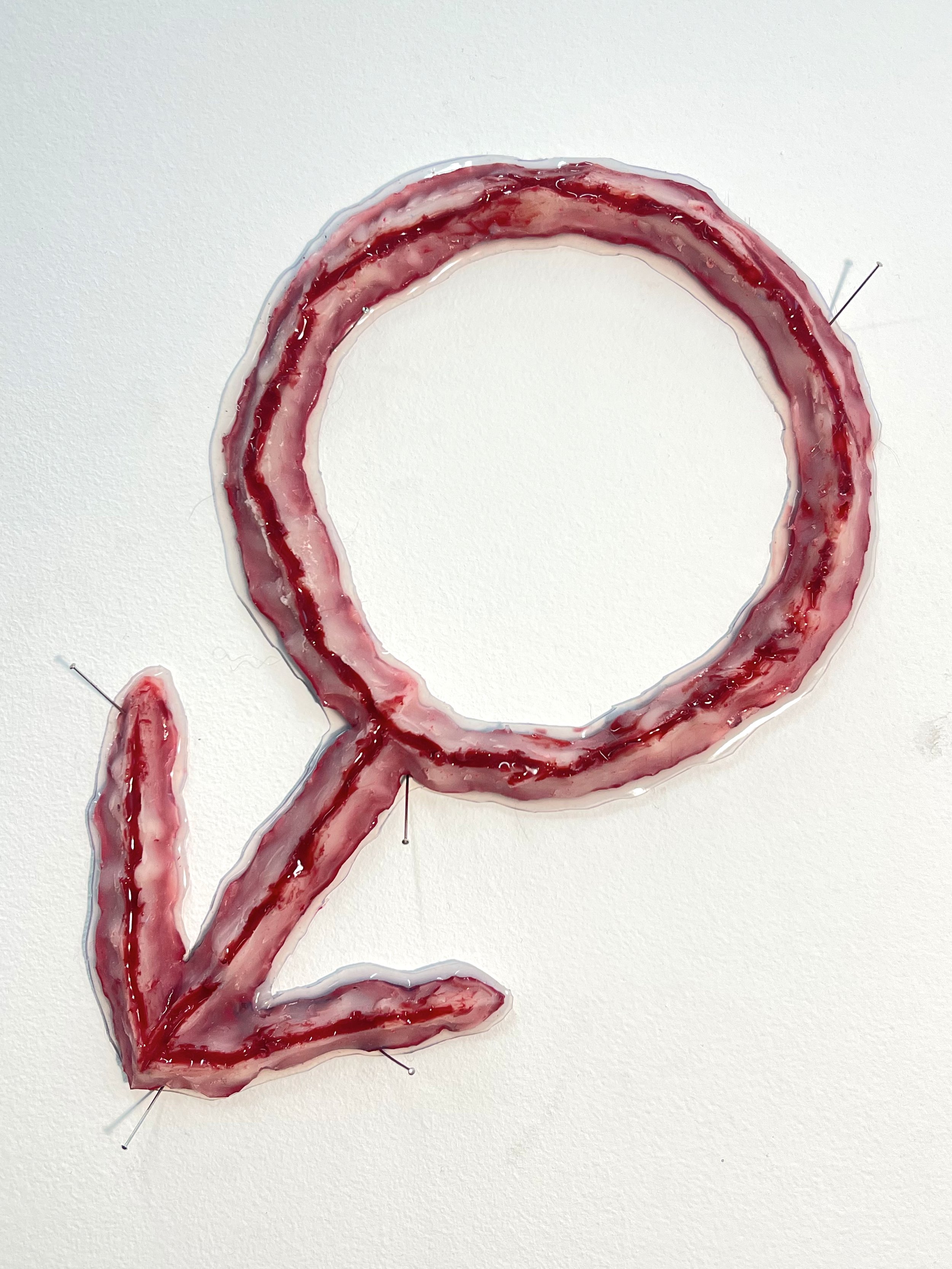 Silicone Prosthetic (Bio Male)