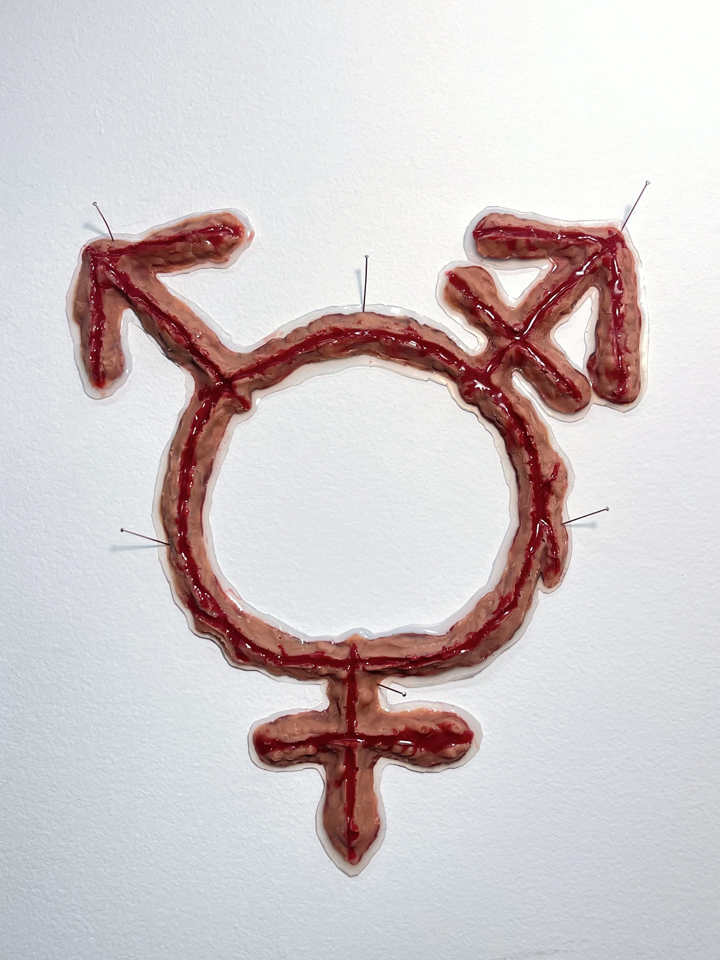 Silicone Prosthetic (Bio Trans) 