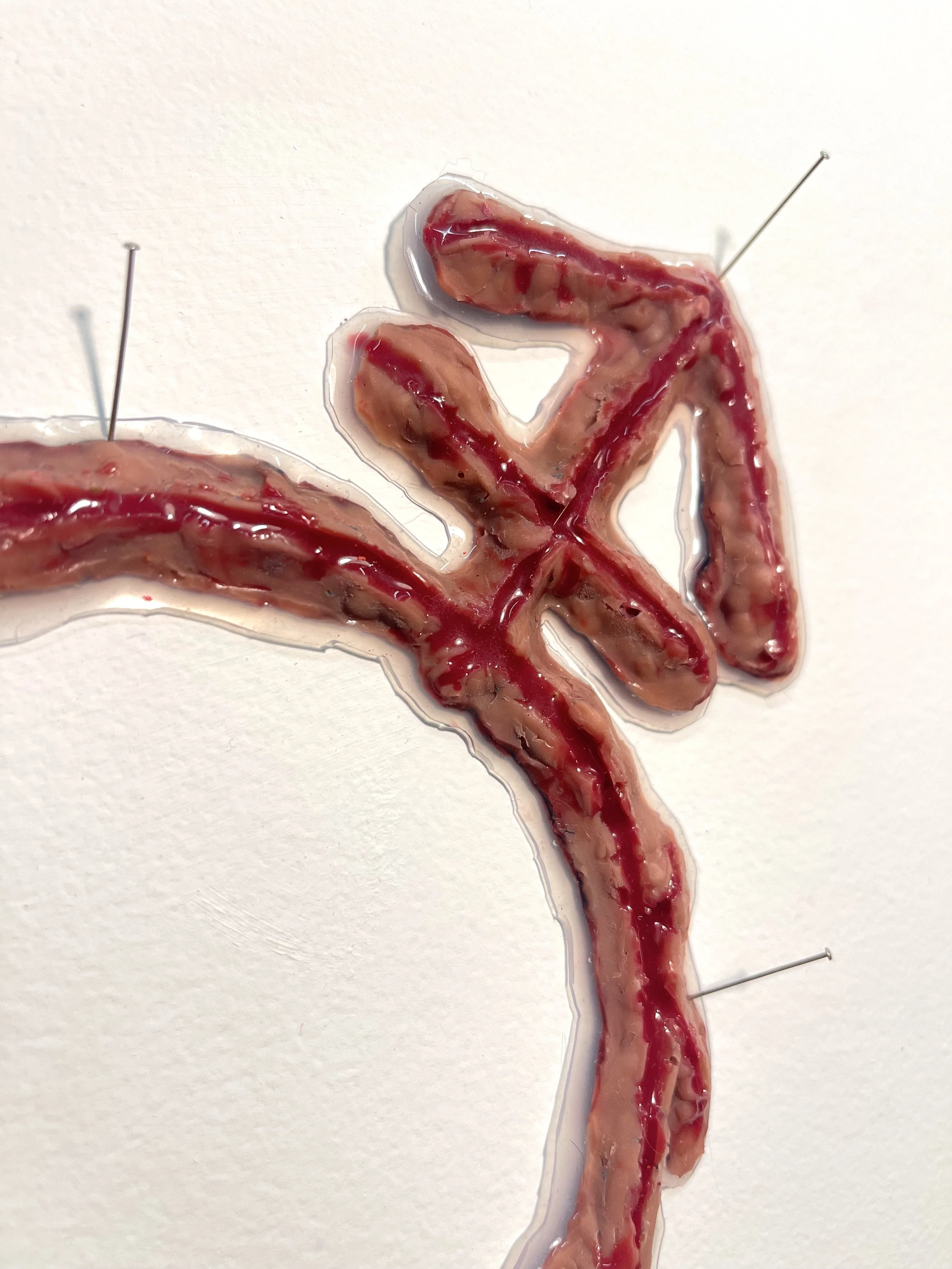 2025. Silicone, pigment.