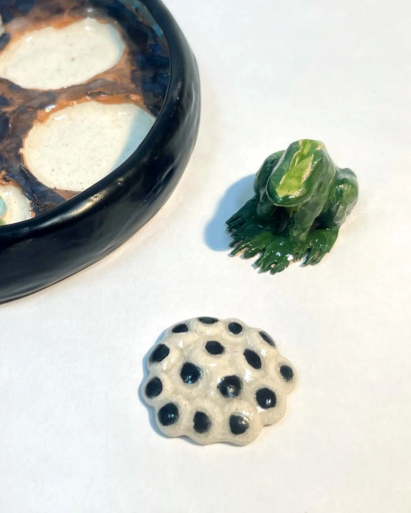 EGG AND ADULT FROG DETAIL. 2024