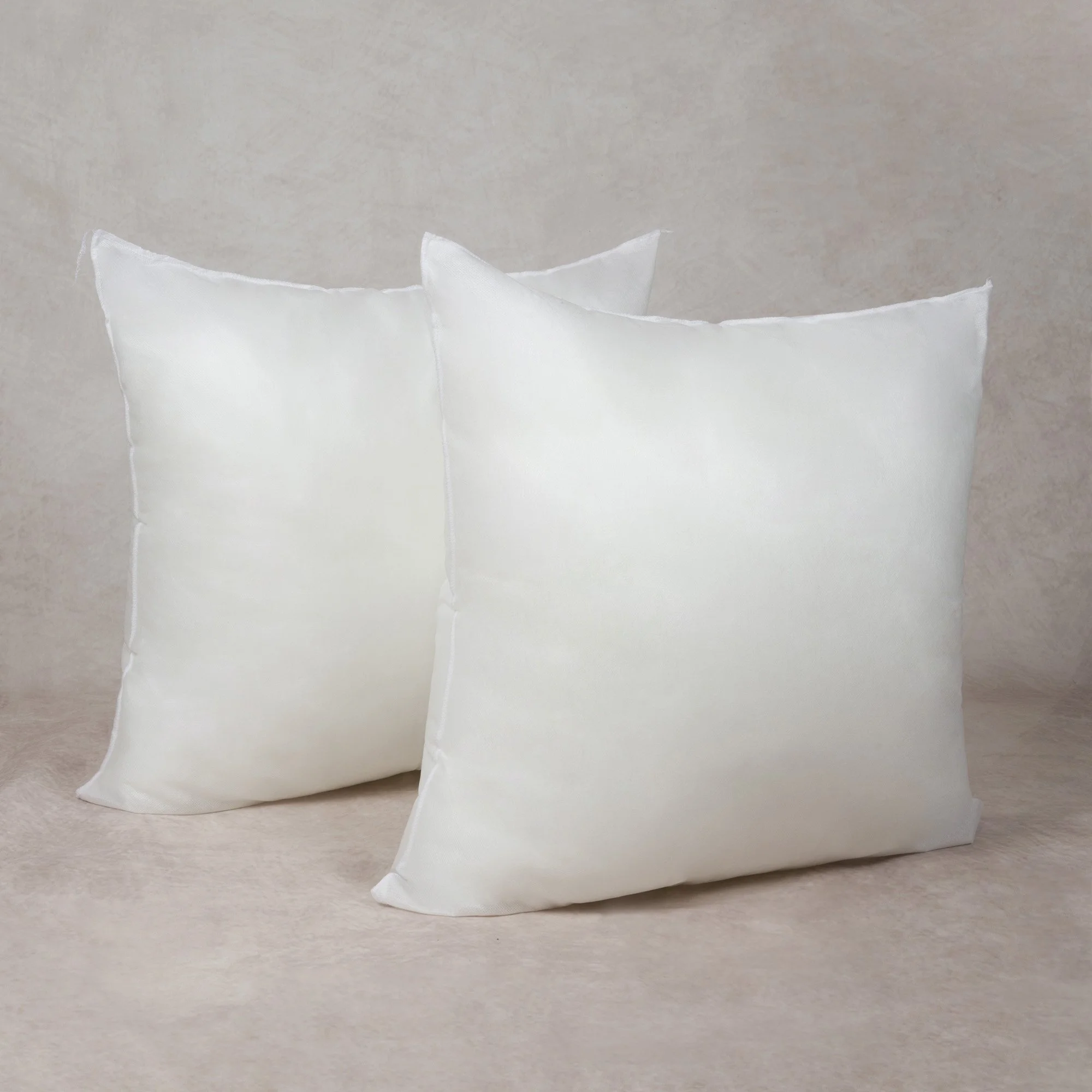 2 pack 20" Pillow Inserts