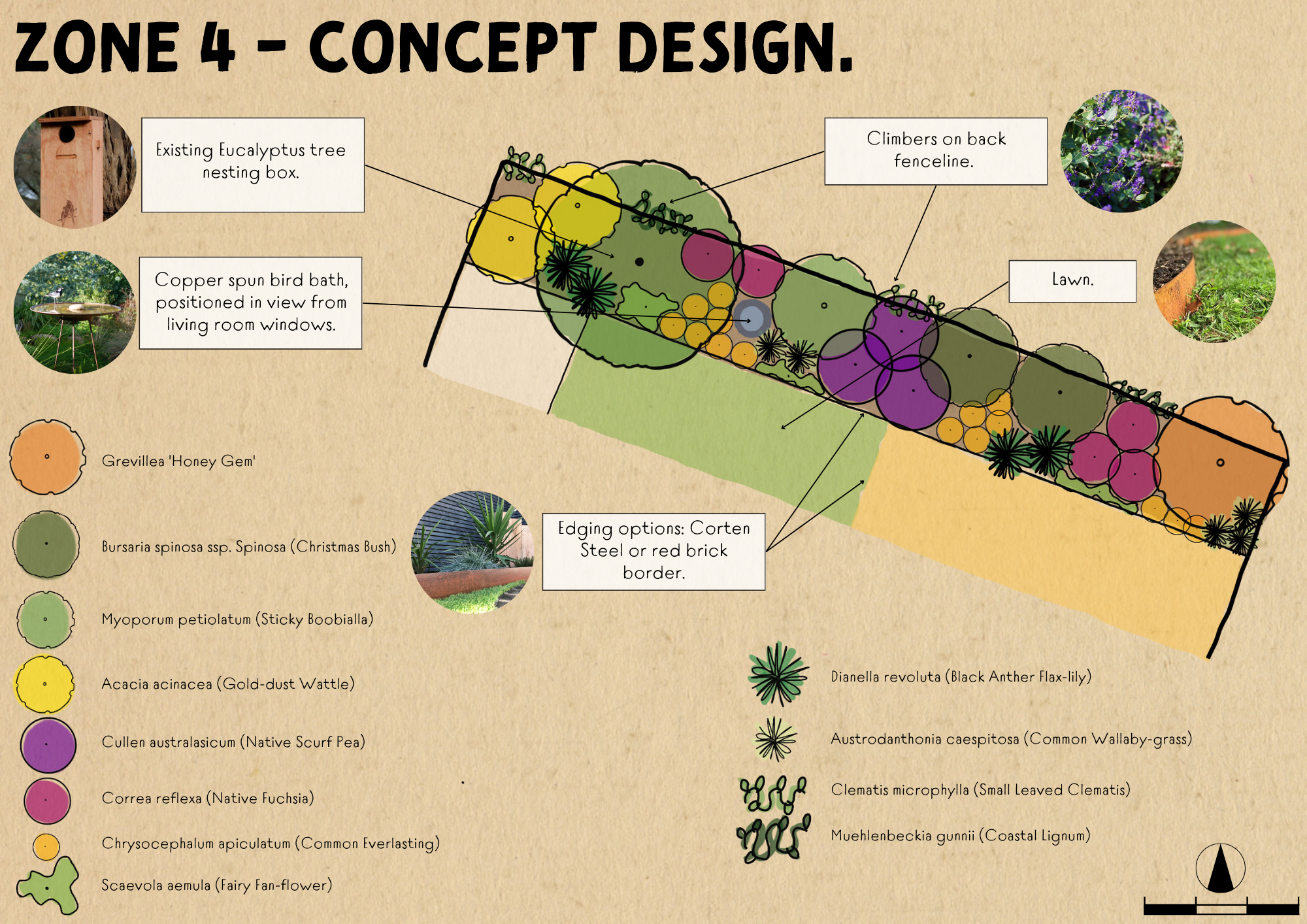 CLARE CONROY - Concept Design Package-3.png