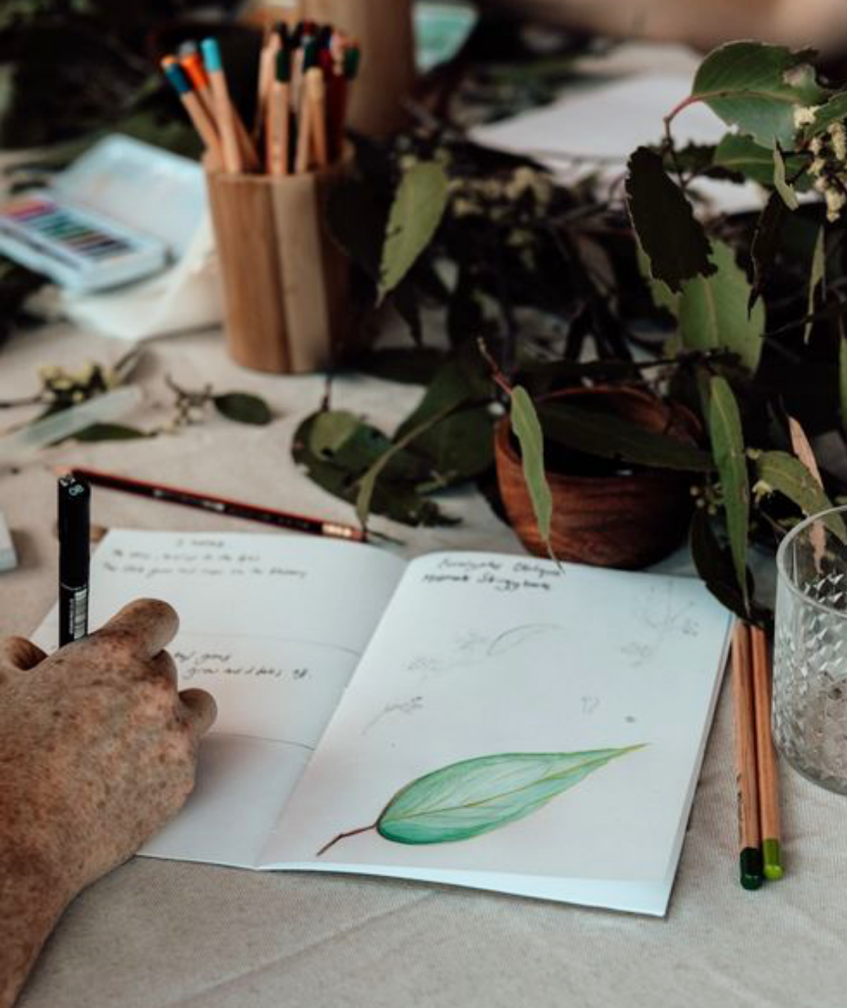 Nature Journaling Native Plants
