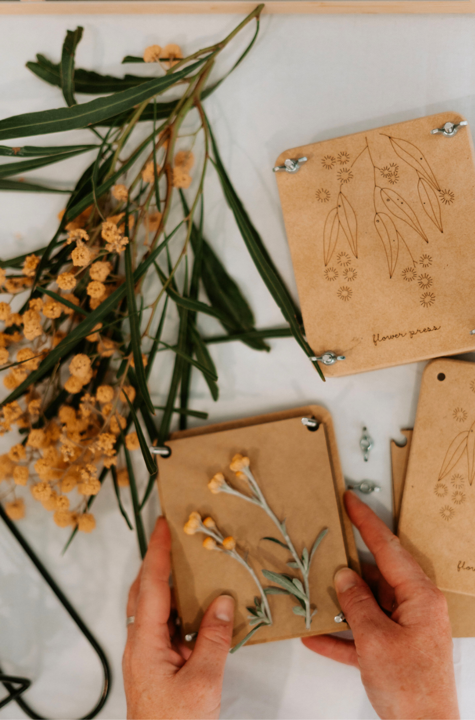 Make a Native Plant Herbarium