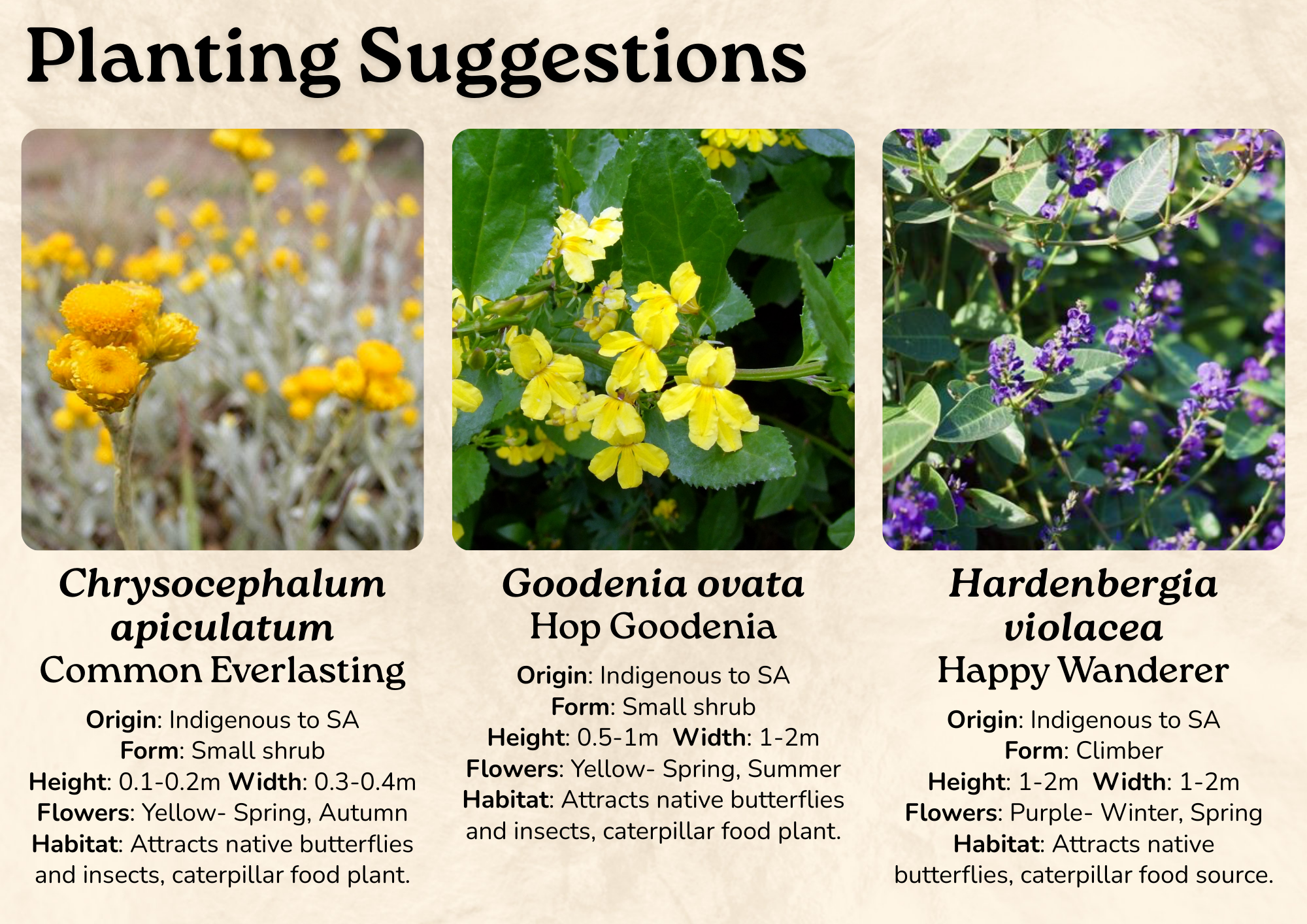 ACCC - Consult Package.png