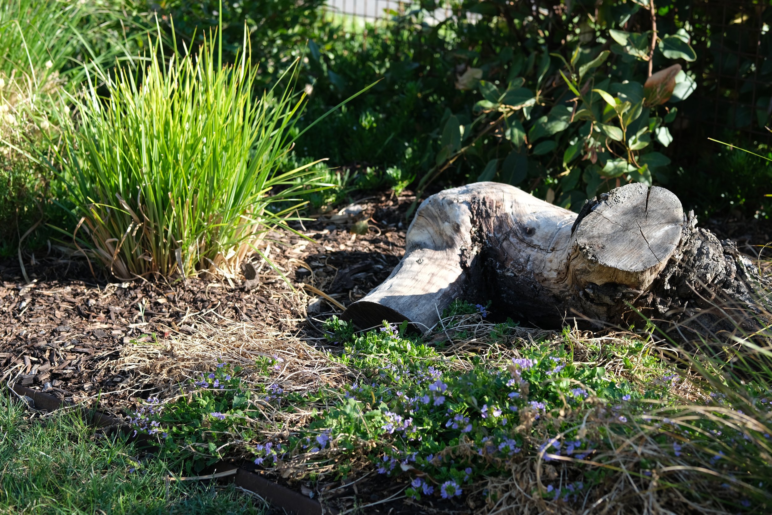 Habitat Gardening at Home