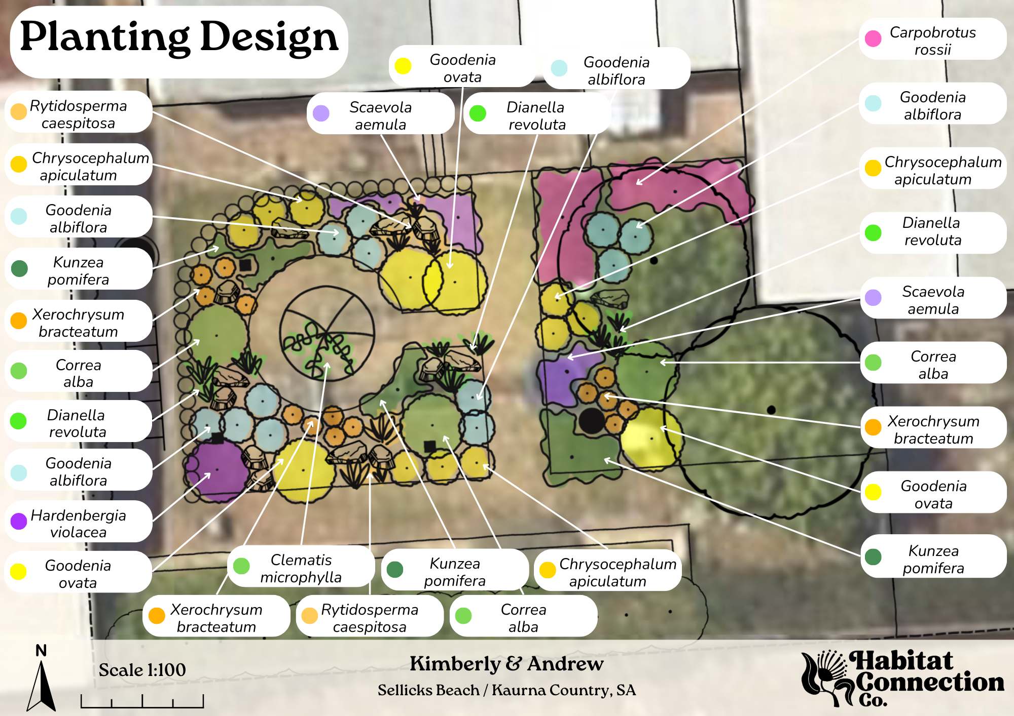 Kimberly & Andrew - Final Design-2.png