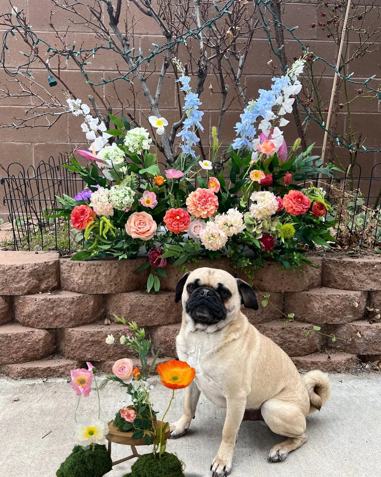 Even though my rose bushes are dead&mdash;doesn&rsquo;t mean your flowers have to be! Don&rsquo;t be limited by what&rsquo;s in season&mdash;use faux florals to get the flowers of your dreams AND get sustainable blooms, year round! 
.
.
.
#diybride #