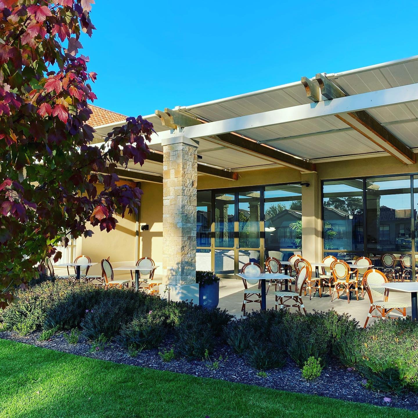 Outdoor patio with empty tables and chairs, surrounded by landscaped plants and a large tree, with a building featuring large glass windows and a solar panel overhead, under a clear blue sky.