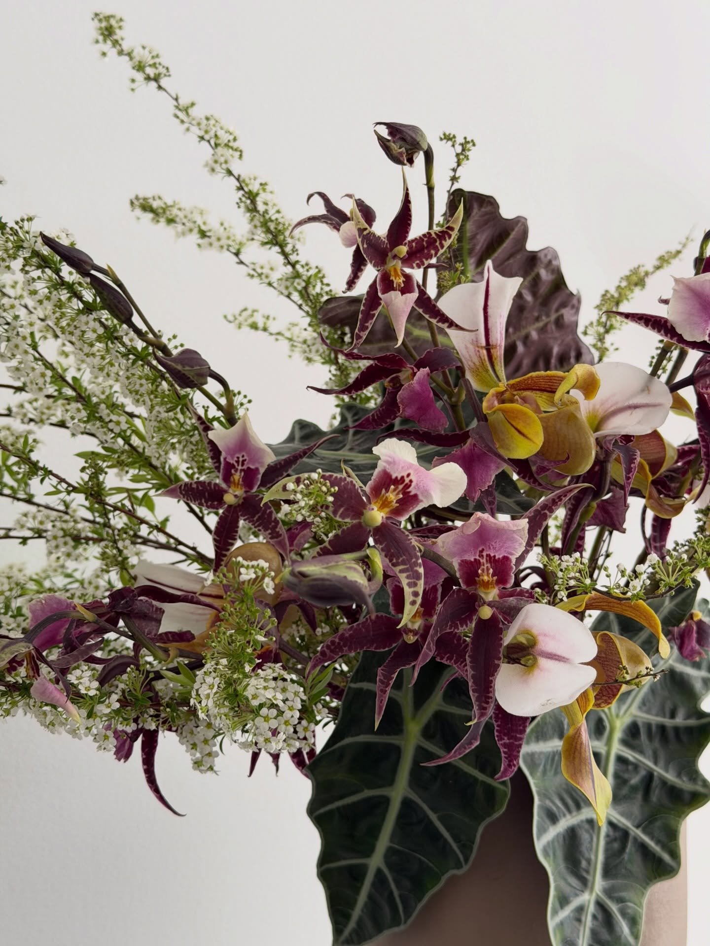 A bar arrangement for the ages and for multiple vessels

#florist #floraldesign #flowerarrangement