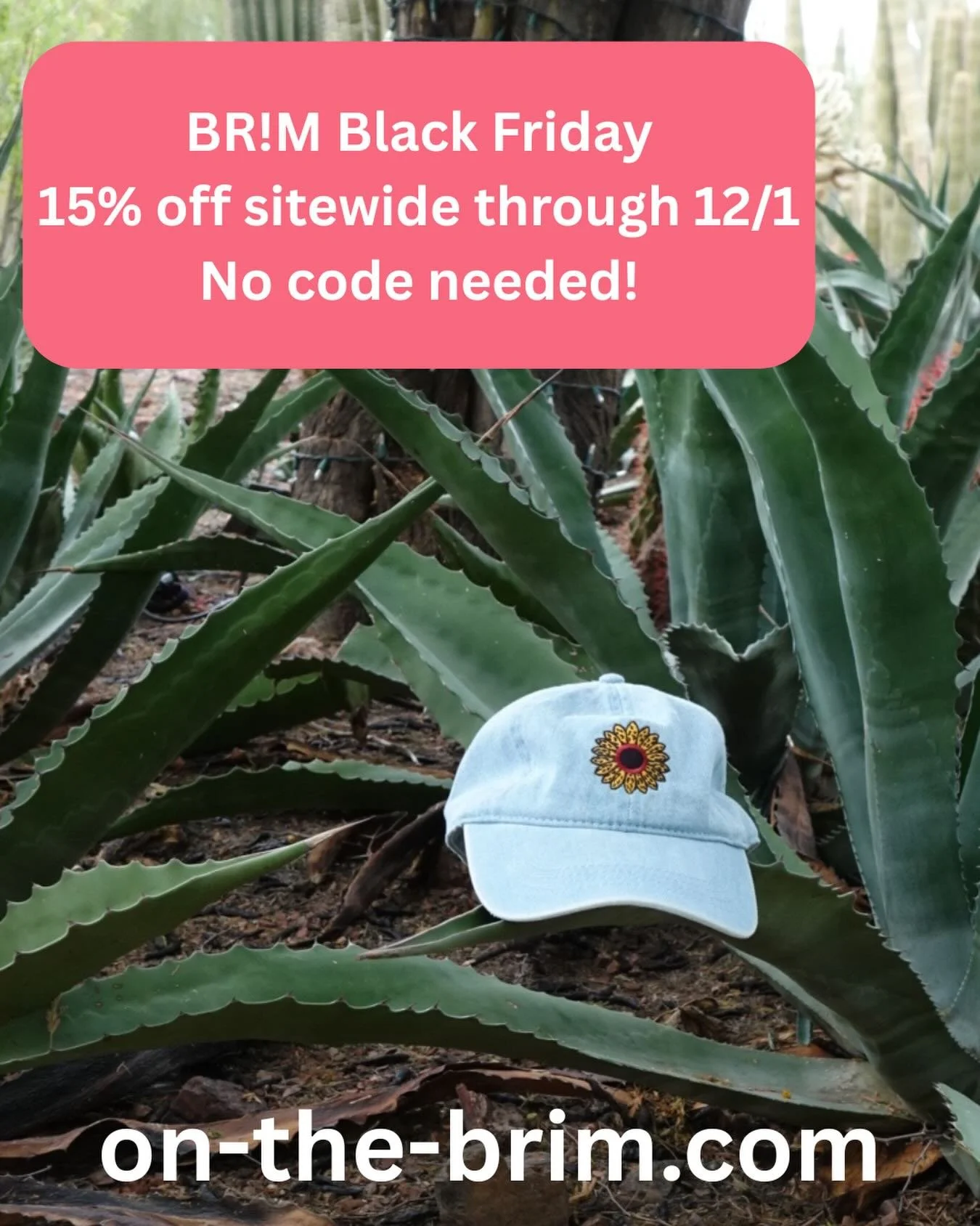 Your next hat is 15% off and honestly? She&rsquo;s begging to come home with you. Support a small business and look good doing it! on-the-brim.com ✨