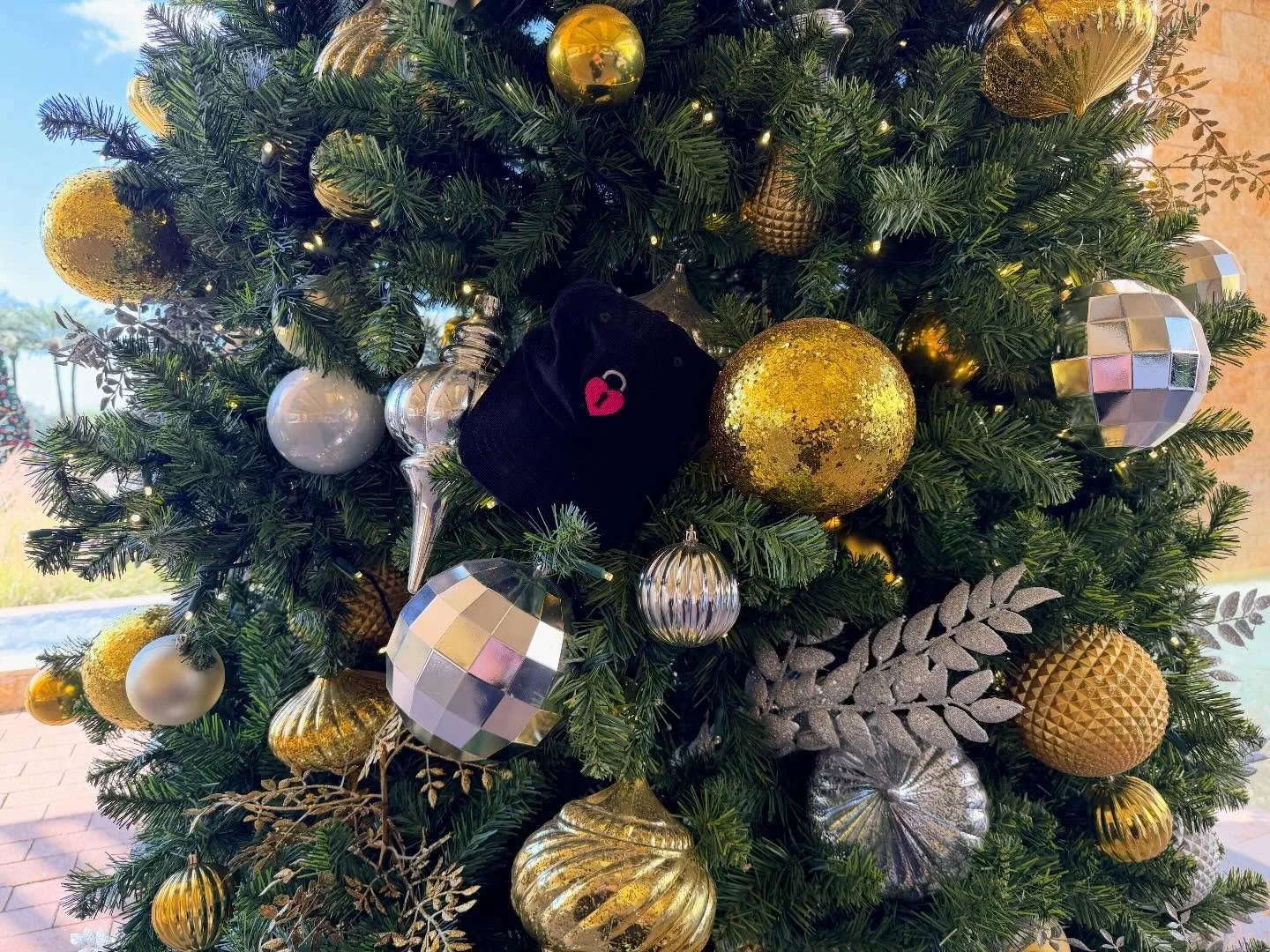 Hi, I&rsquo;m new here 🙋&zwj;♀️ today&rsquo;s new drop is LIVE on on-the-brim.com!