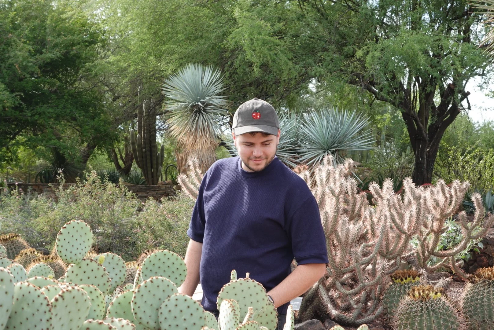A young man in a gray cap and navy sweater looking down among various cactus plants and succulents in an outdoor garden.