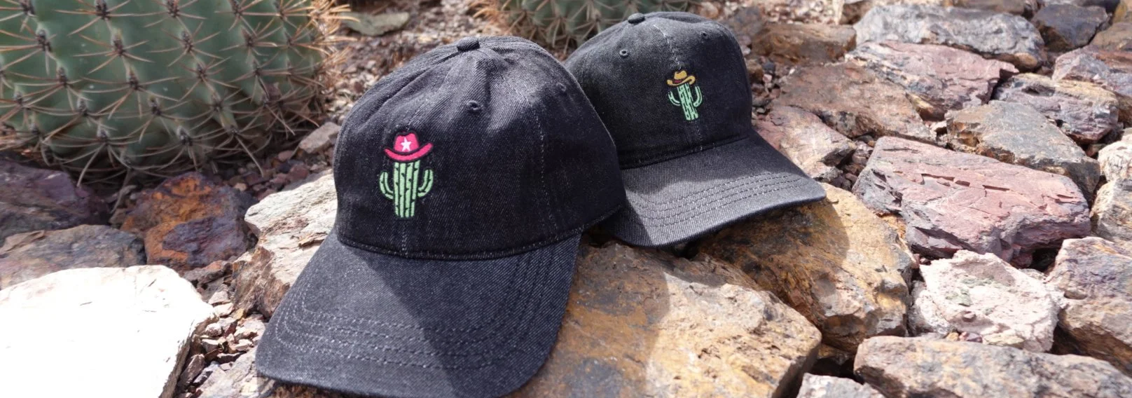 Two black baseball caps with embroidered cactus designs, one with a pink hat and the other with a yellow hat, placed on rocks next to a cactus plant.