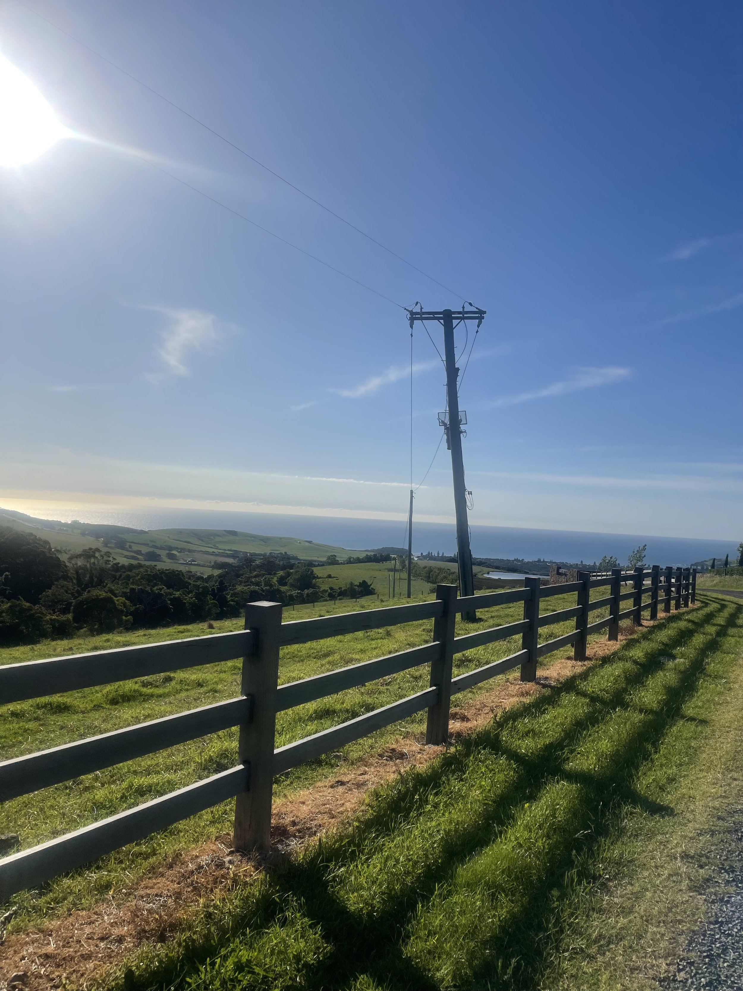 Fencing - Residential.jpg