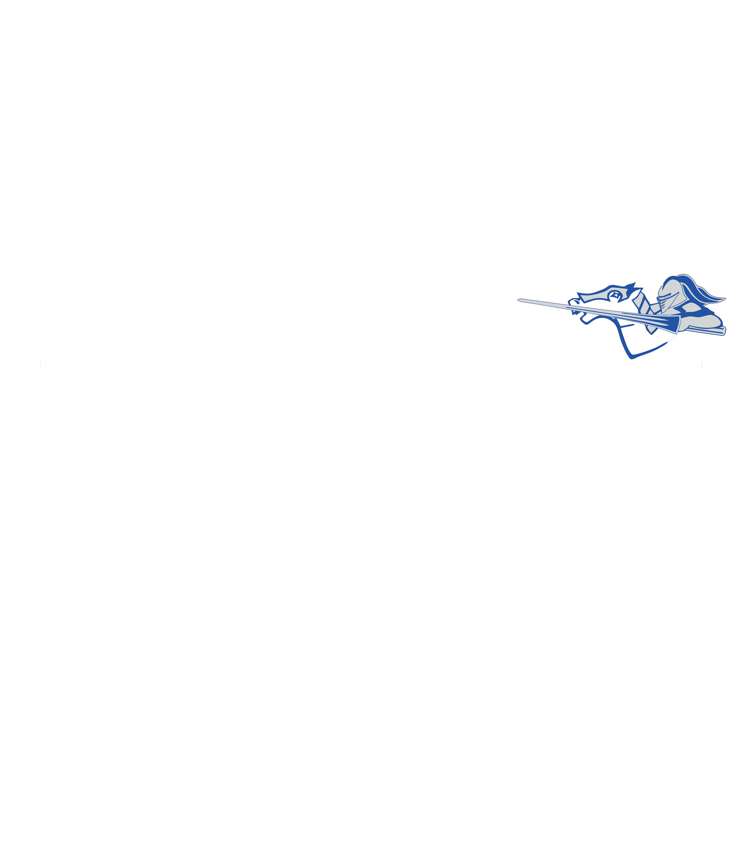 Knights Stripe White.png