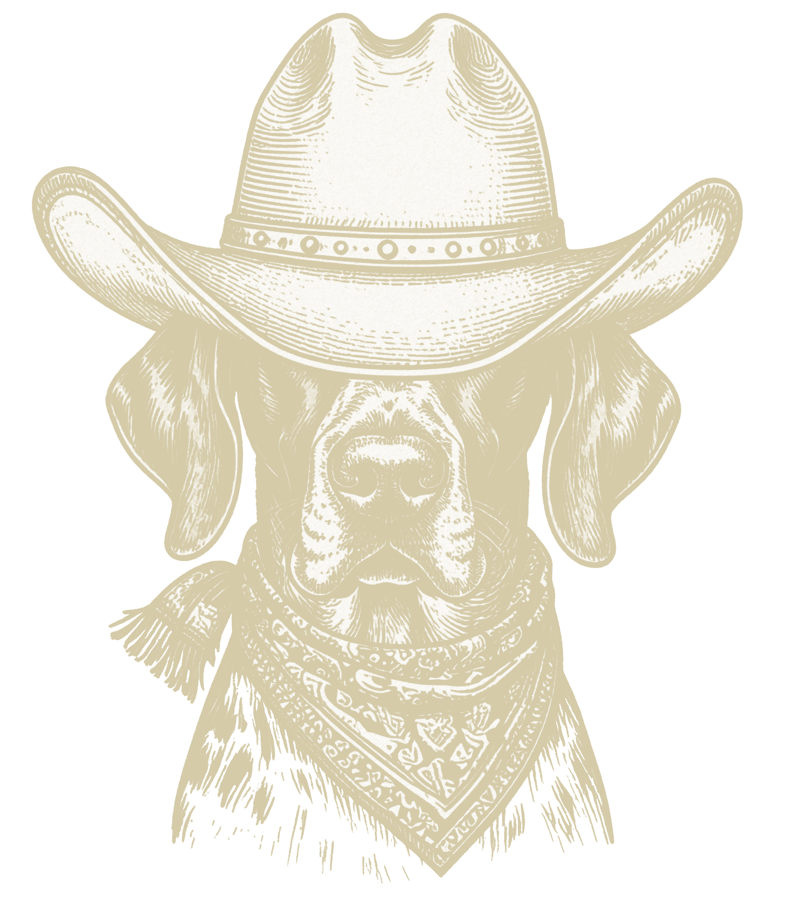 1 TAN.png
