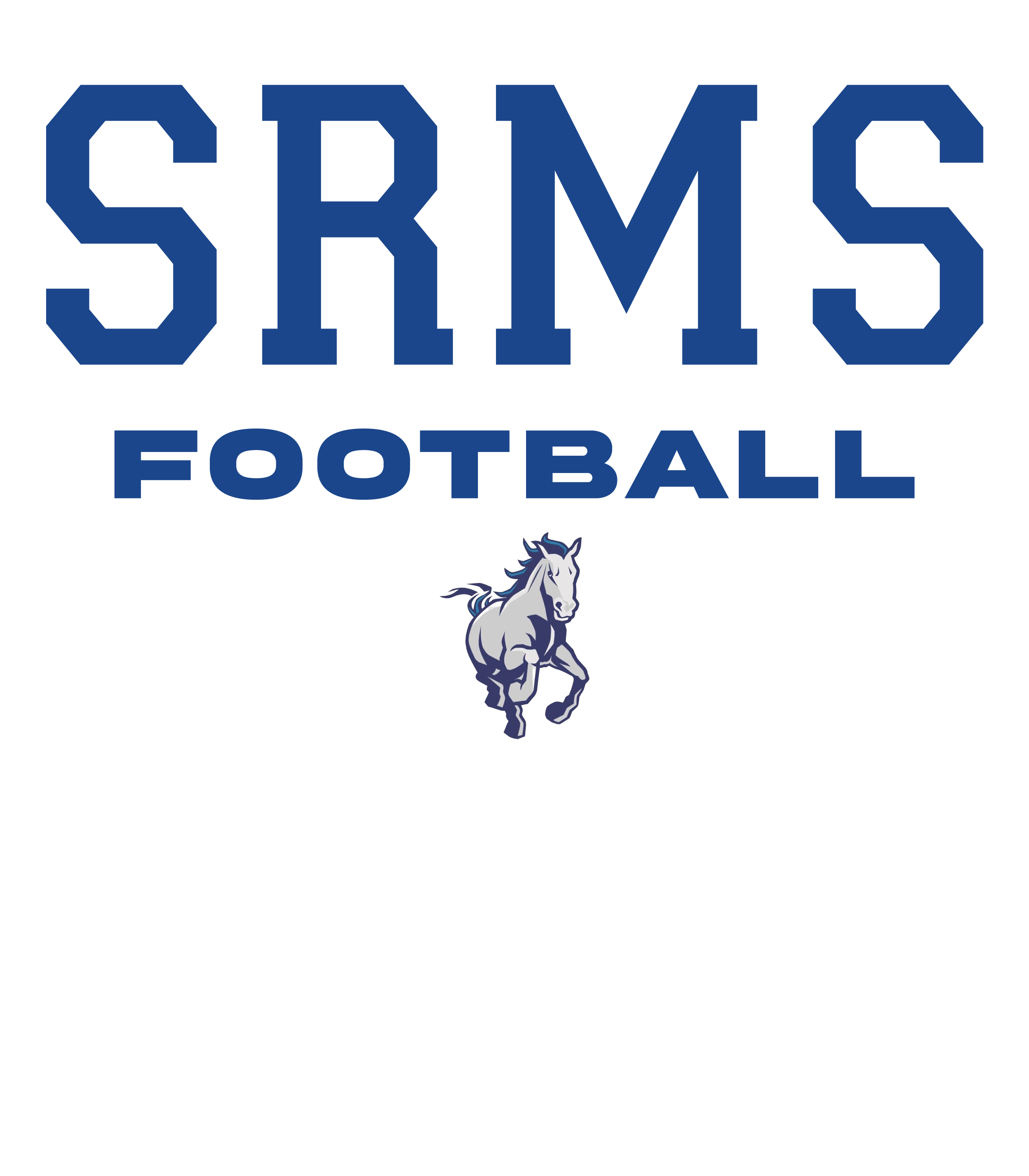 SRMS_1.2 (1).png