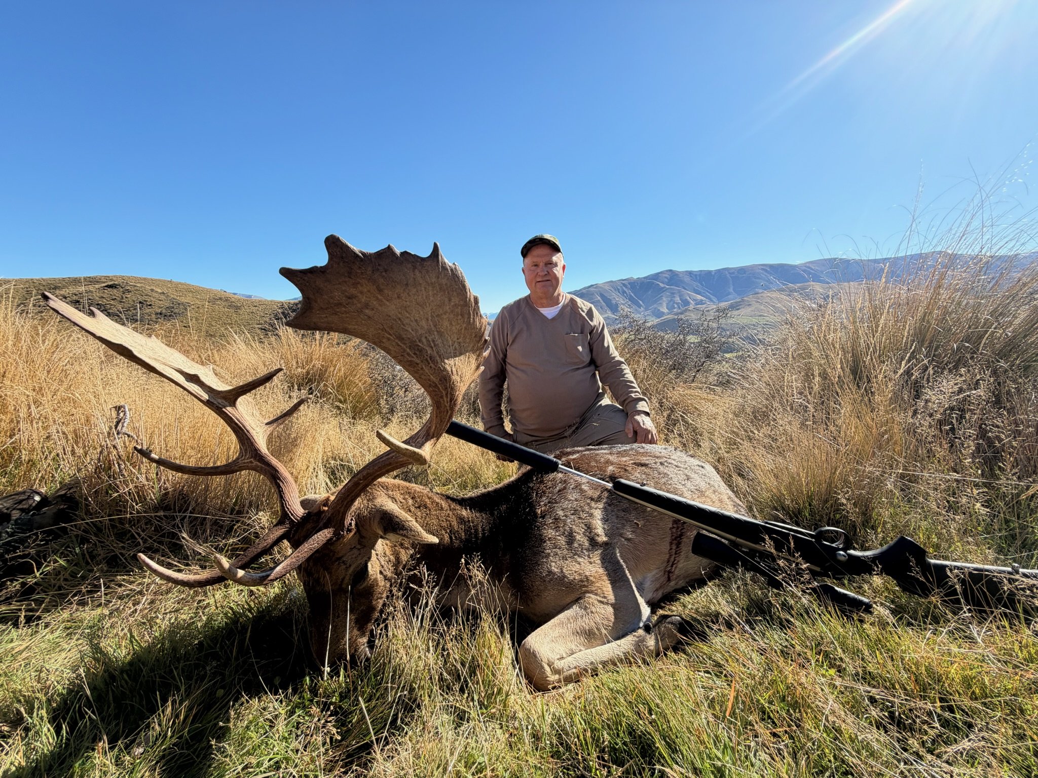 Trophy Fallow Buck with American hunter on hillside surrounded by tussocks with the Southern Alps in the background