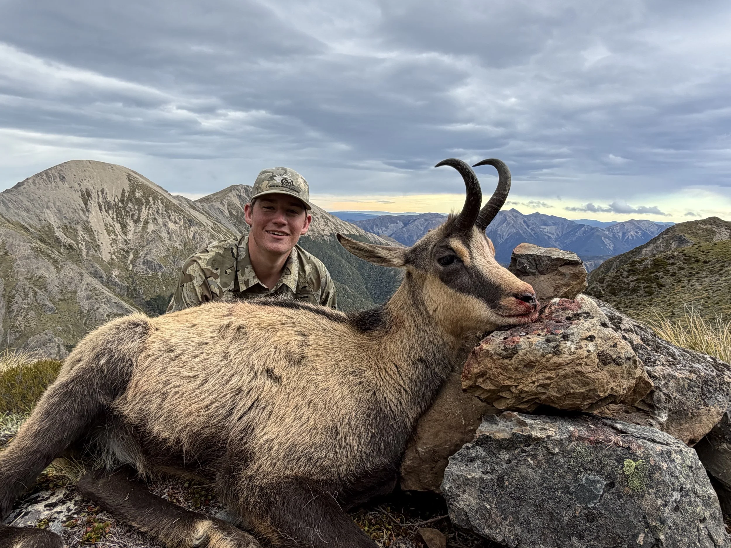 Trophy Chamois with American hunter on a rocky hillside with the rugged Southern Alps in the background