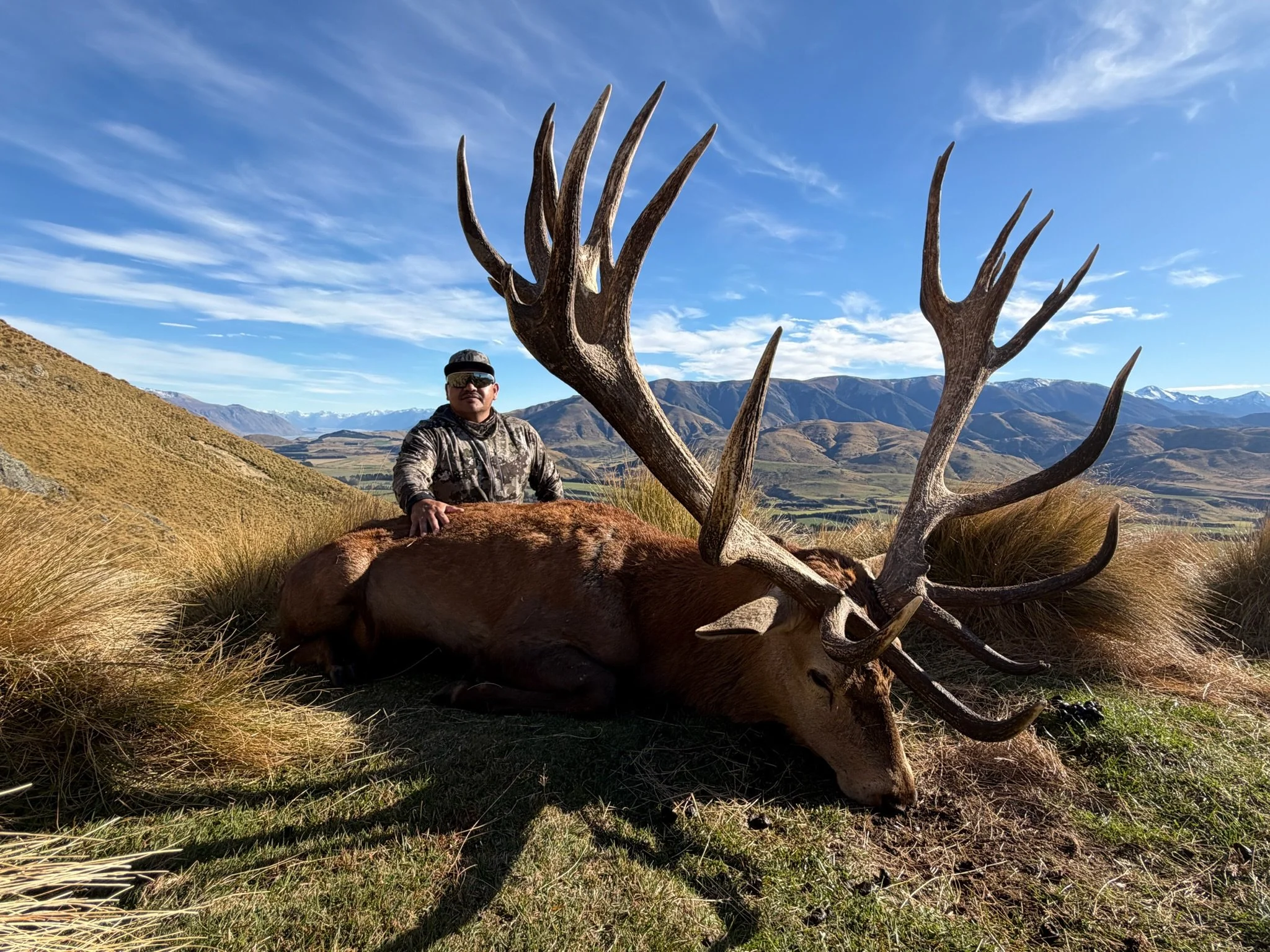 Trophy Red Stag on tussock filled hillside with American hunter and the Southern Alps in the background 