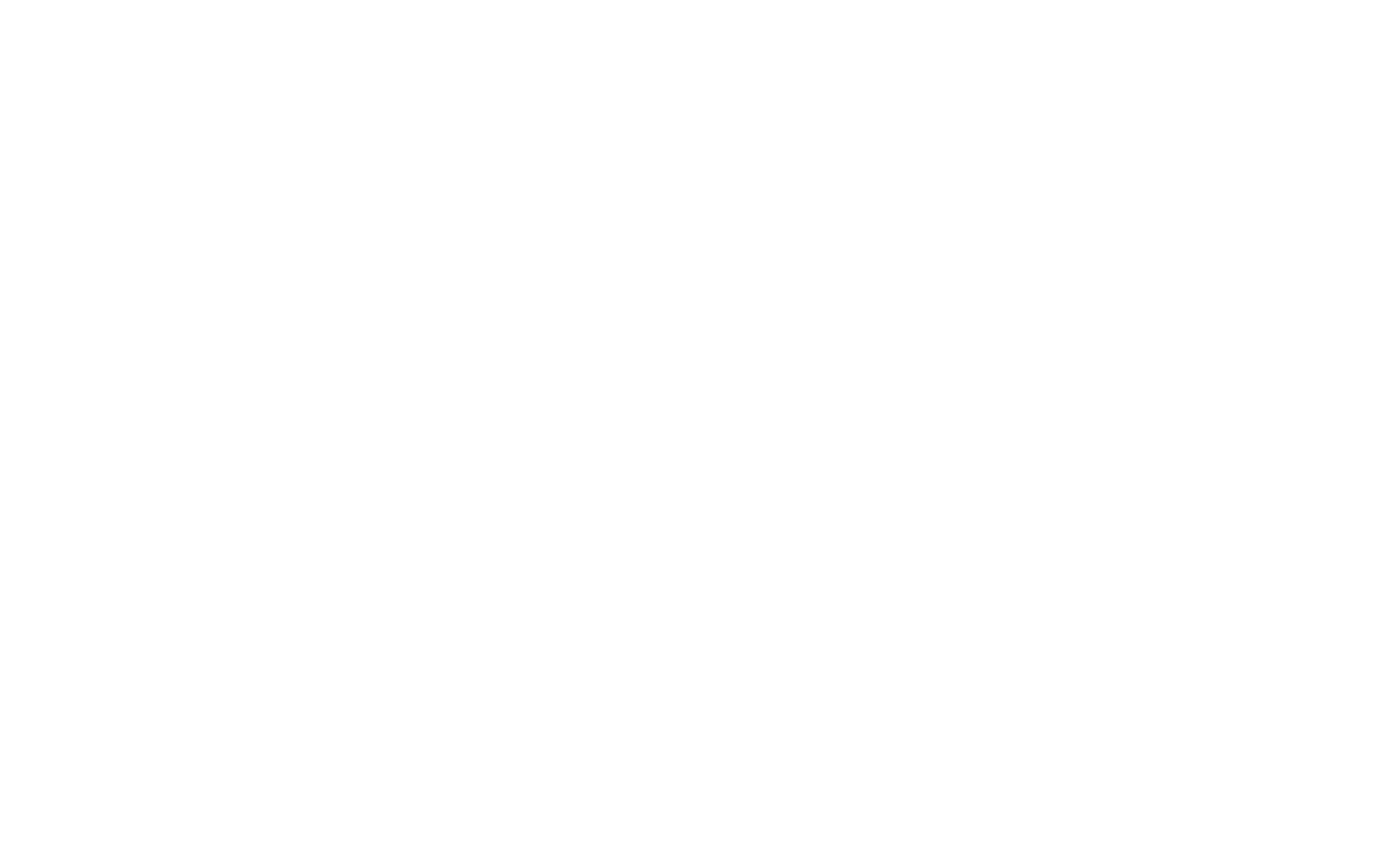 Southern Alps Safaris