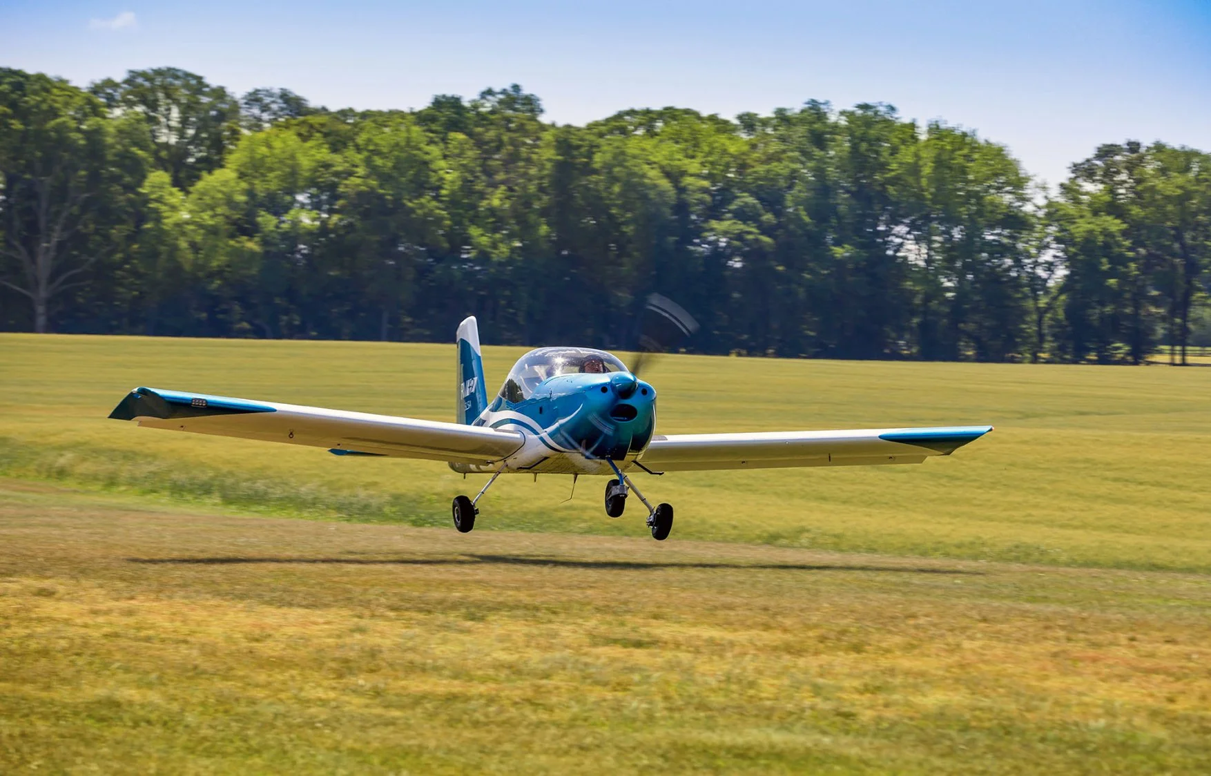 A blue and white airplane lands on a green grass runway. A treeline is seen in the background.