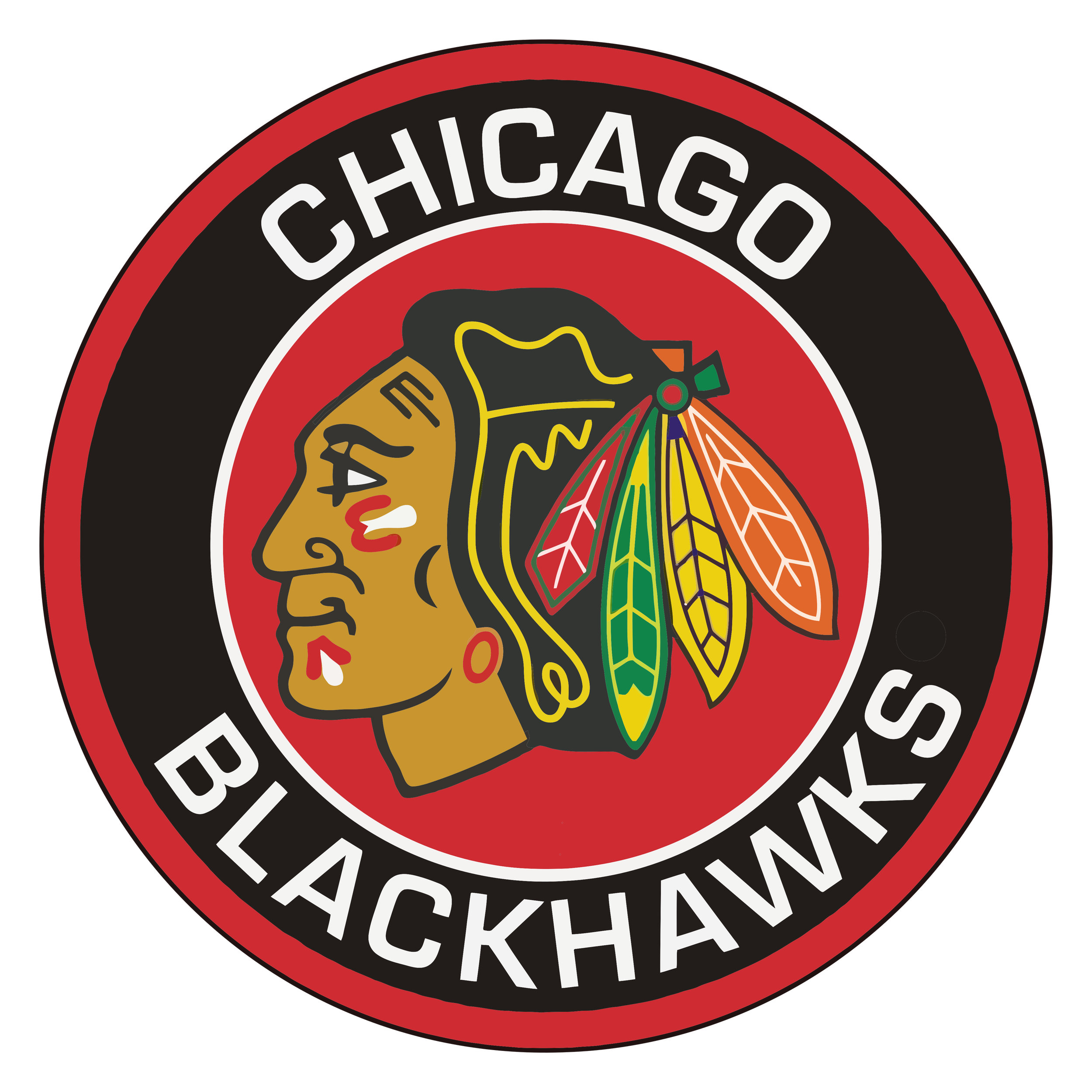 Chicago Blackhawks logo reference shown in DiverCity Artistry project involvement section.