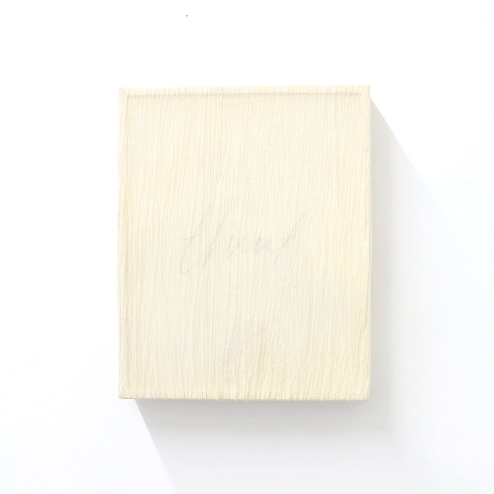 Veiled
2025
chiffon, graphite, acrylic on wood panel
9" x 12" (22.86 x 30.48 cm)