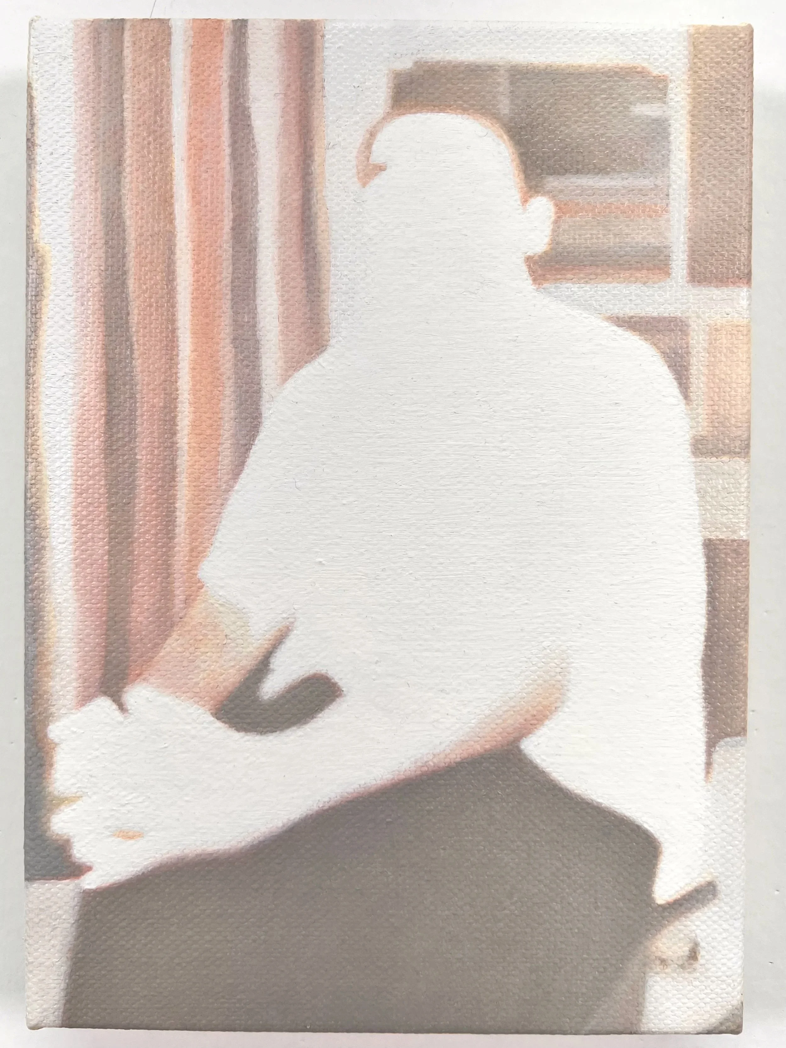 Standard White #1
2025
oil on on canvas
5" x 7" (12.7 x 17.8 cm)
