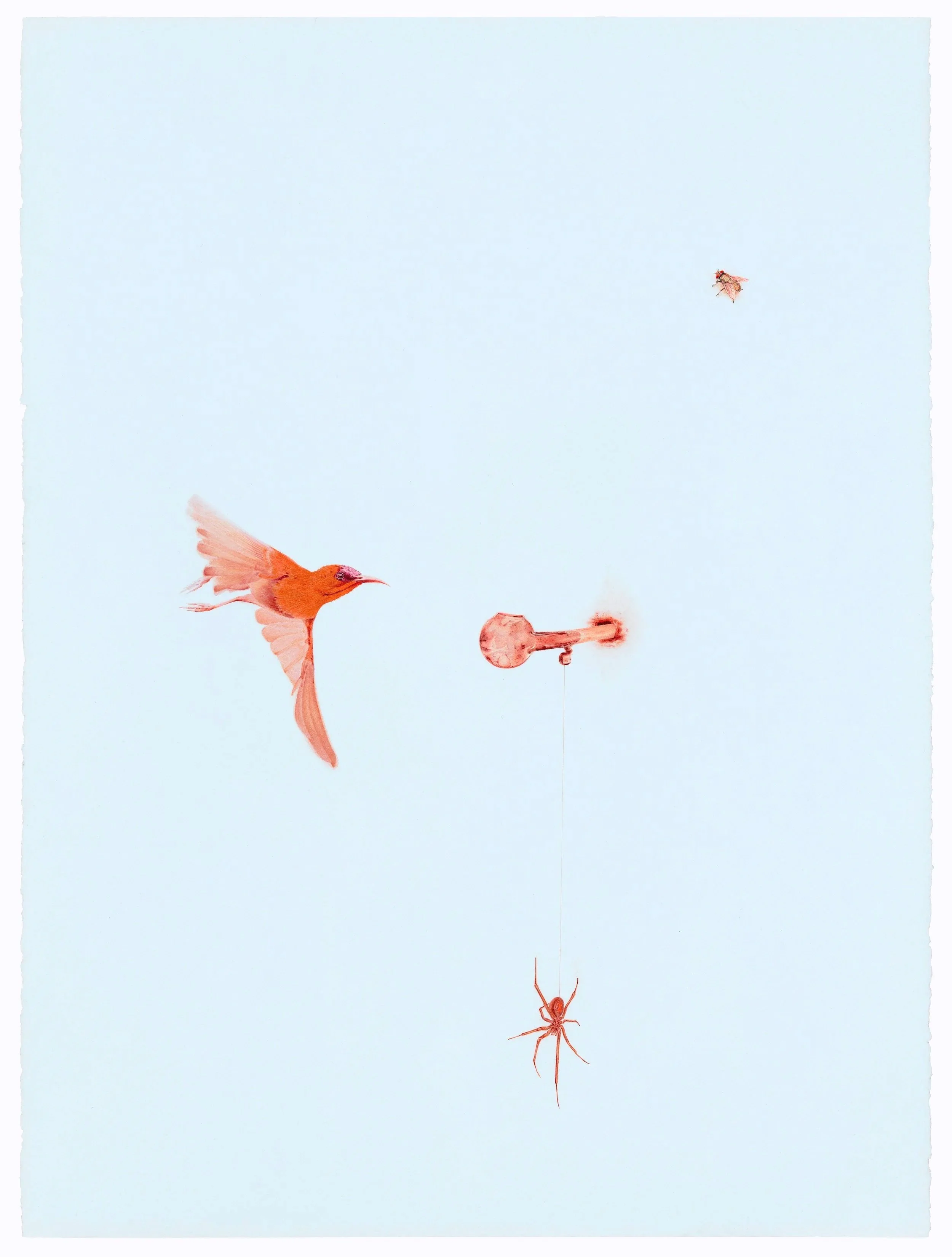 Blue #2
2021
color pencil on paper
24" x 30" (60.96 x 76.2 cm)