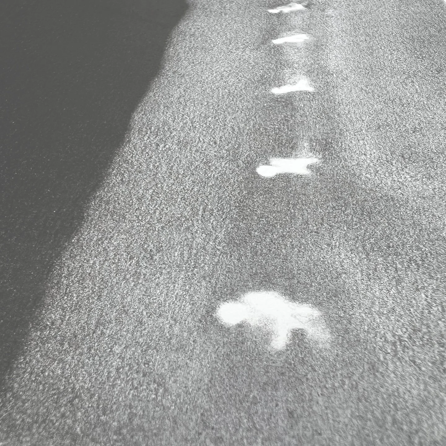 Footprints in the snow on a snowy surface.