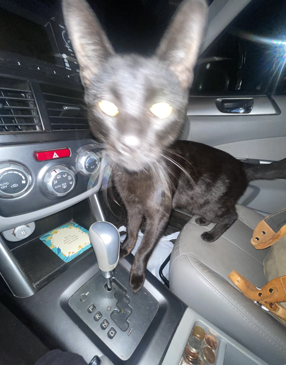 Screenshot 2025-11-01 at 4.34.05 AM.png