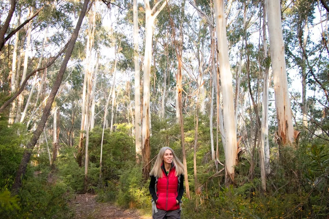 Wellbeing & Menopause Support