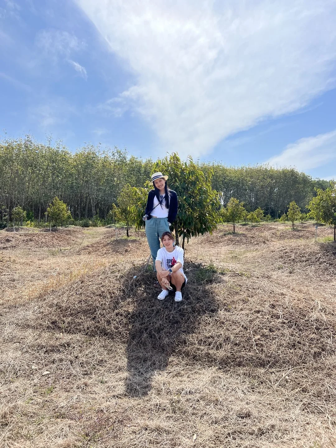 Durian Farm Chanthaburi