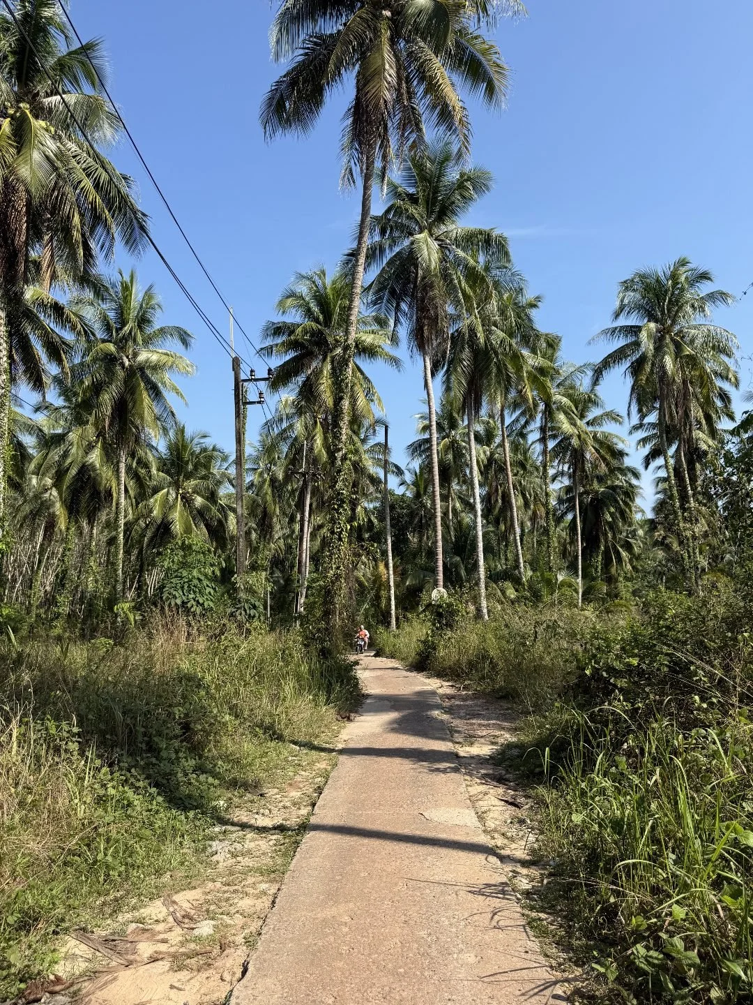 Scooter Rides Koh Kood