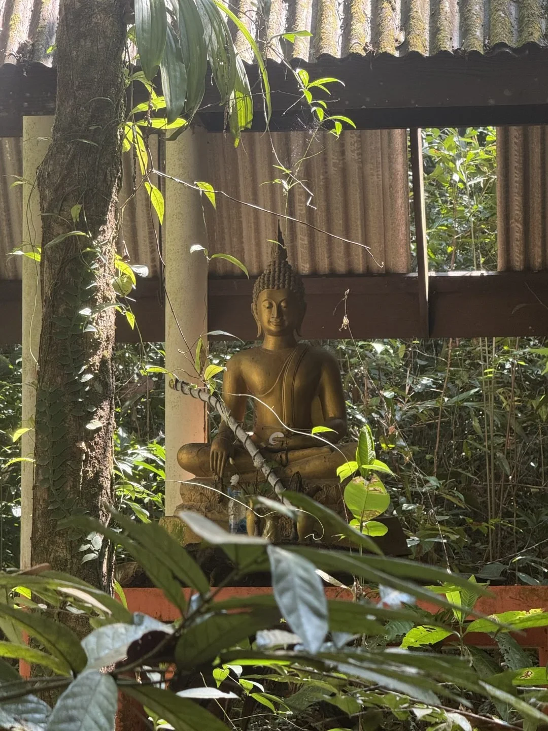 Khlong Chao Waterfall - Buddha Statue