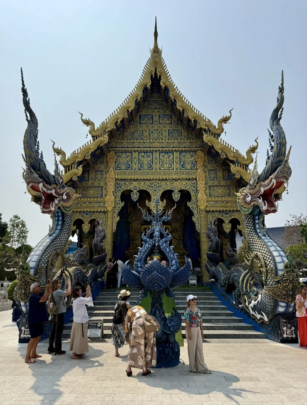 The Blue Temple - Naga Serpents
