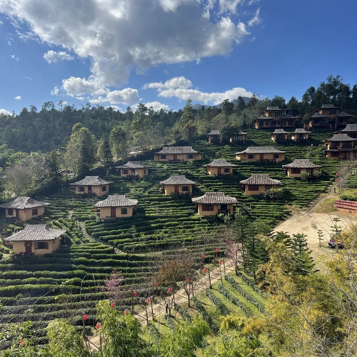 Ban Rak Thai: Thailand’s Misty Village of Tea &amp; Tradition
