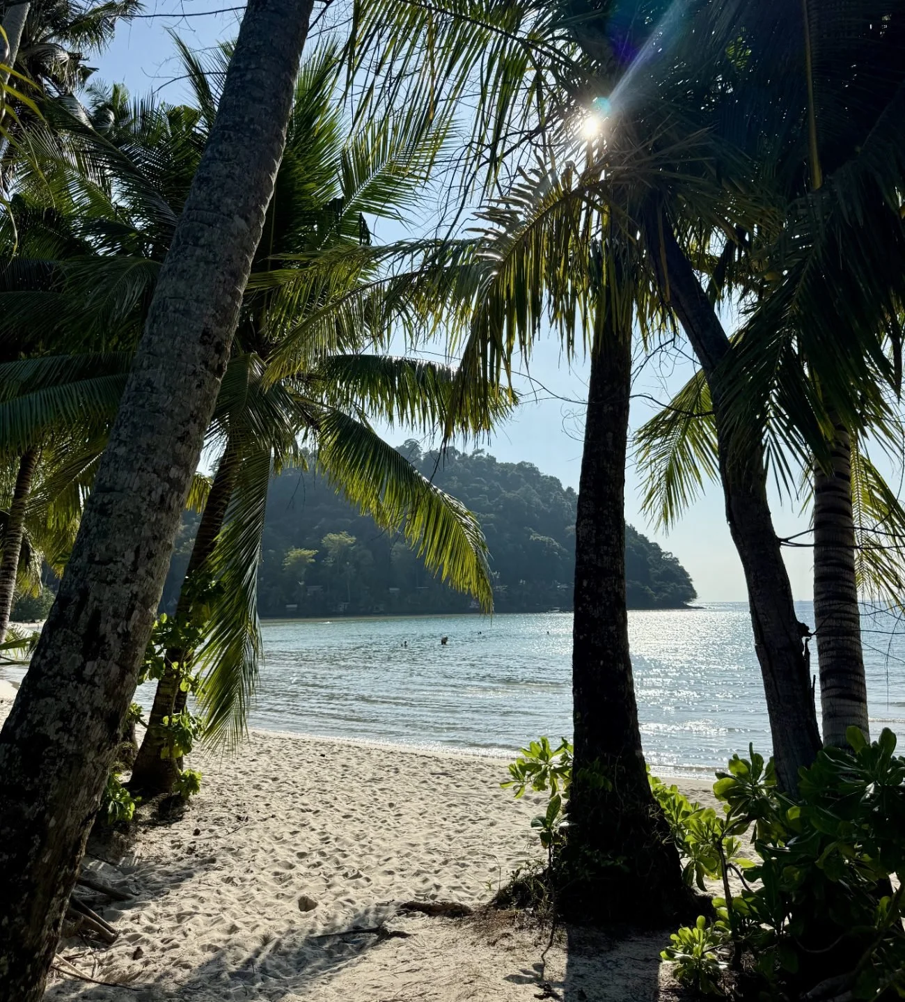 15 Best Islands in Thailand: The Ultimate Guide to Paradise