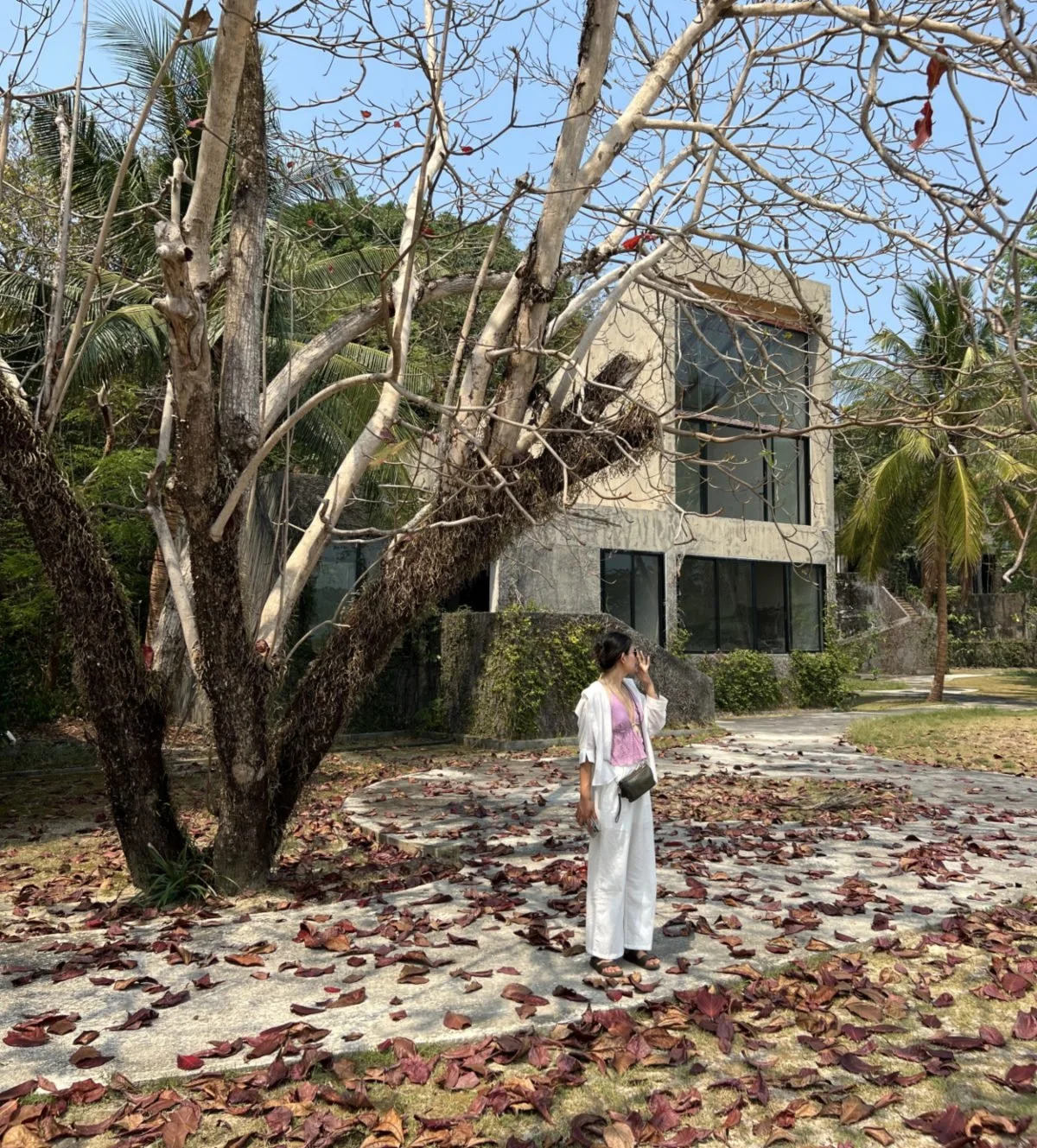 2 Week Thailand Itinerary: Island Hopping or Culture Trip?