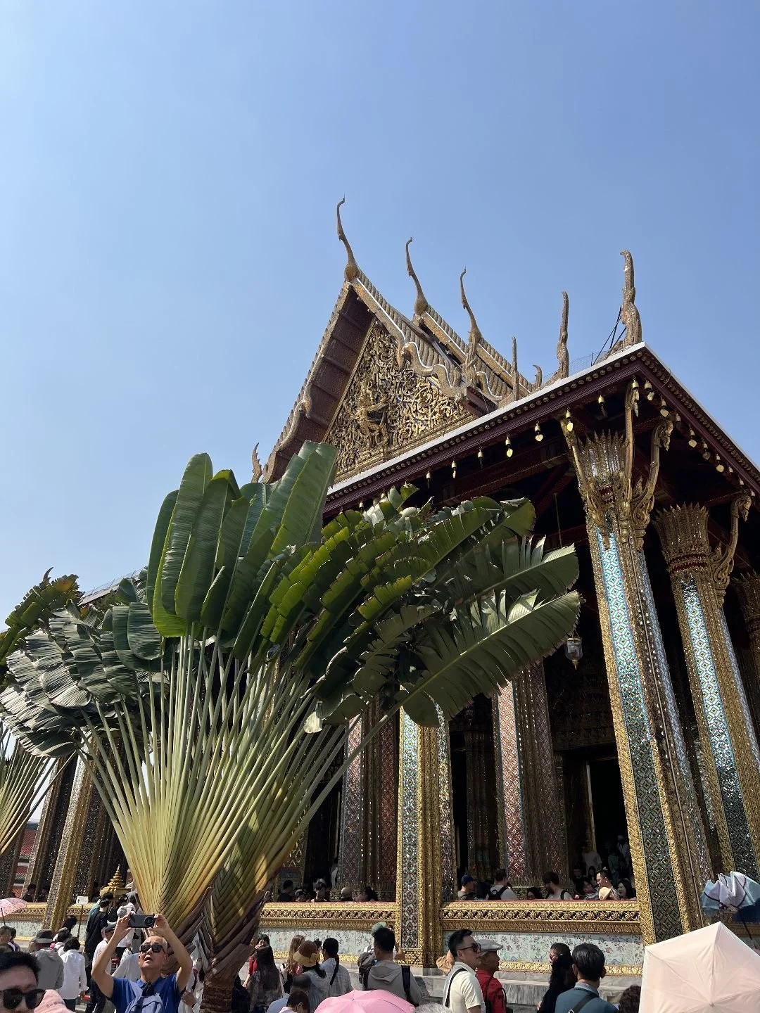 The Grand Palace - Golden Temples
