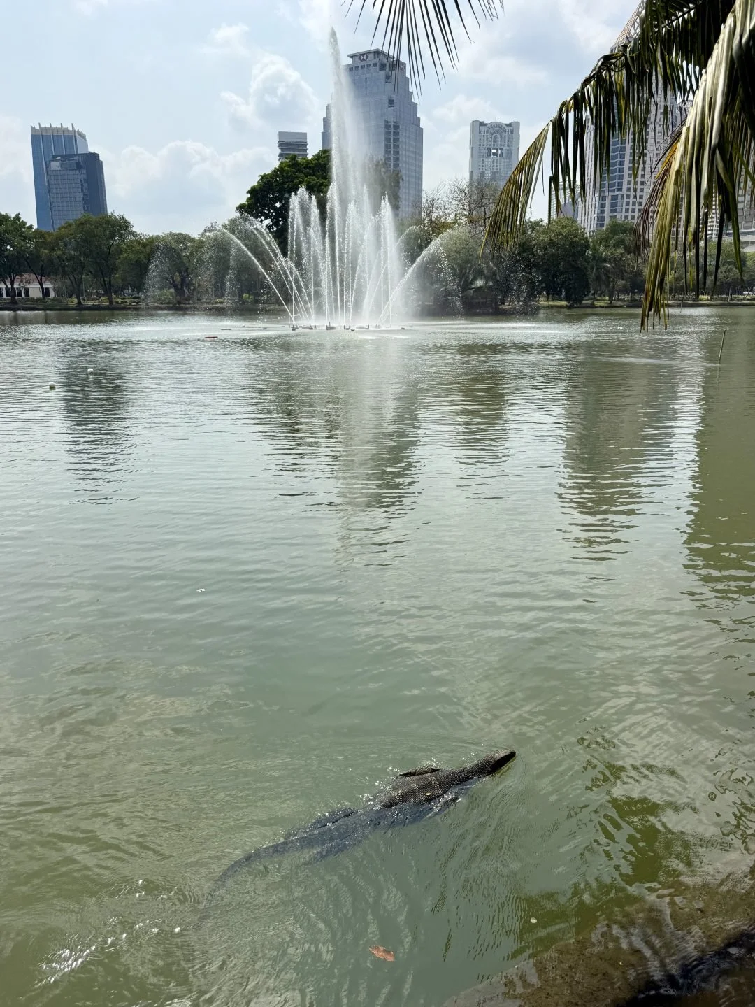 Bangkok Itinerary - Lumphini Park - Monitor Lizards