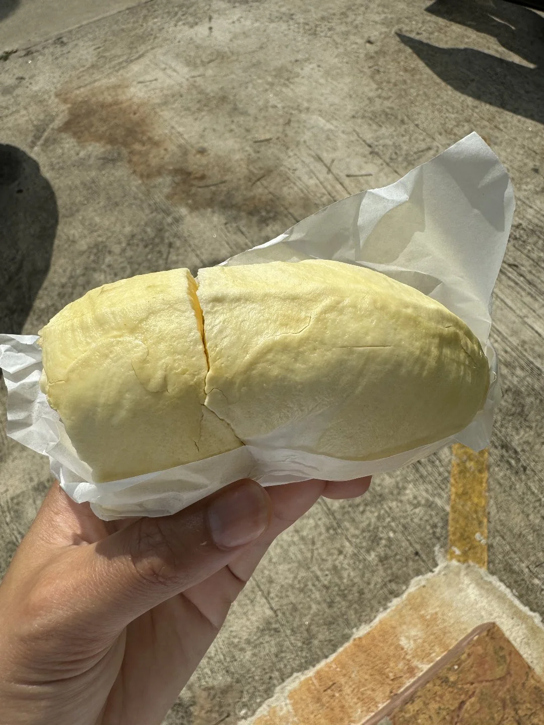 Chanthaburi - Durian - King of Fruits