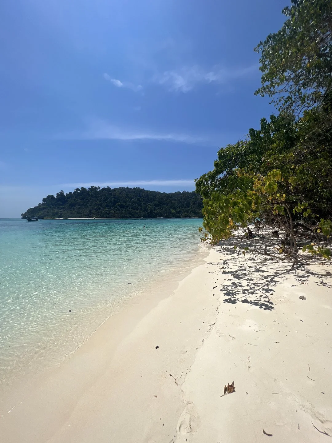 Koh Rok from Koh Lanta Island Hopping