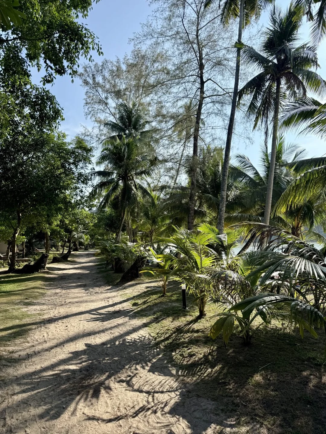Bang Bao Beach - Lush Greenery